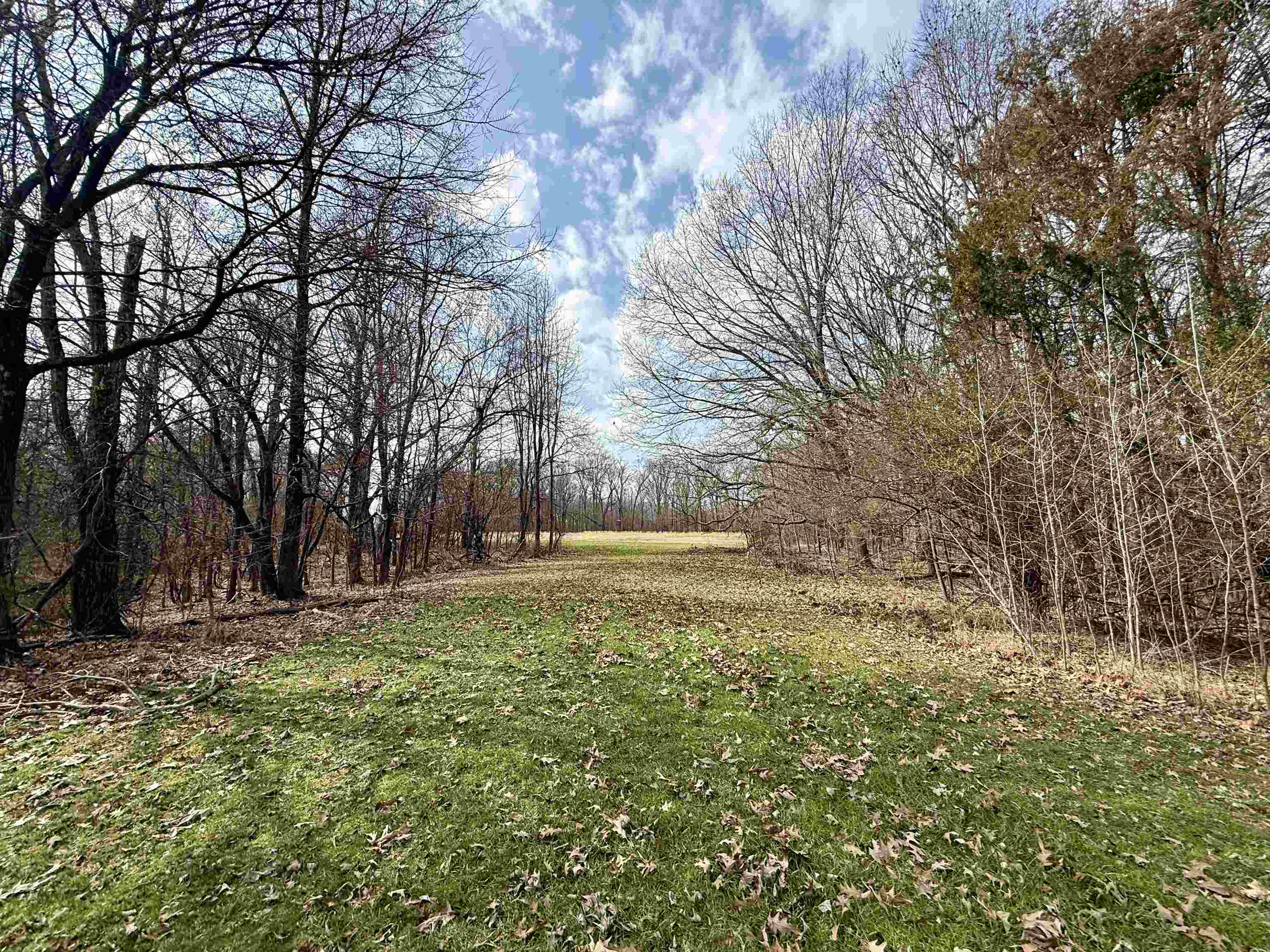 0 Old Brownsville Road Somerville, TN 38068 - Photo 23 of 40