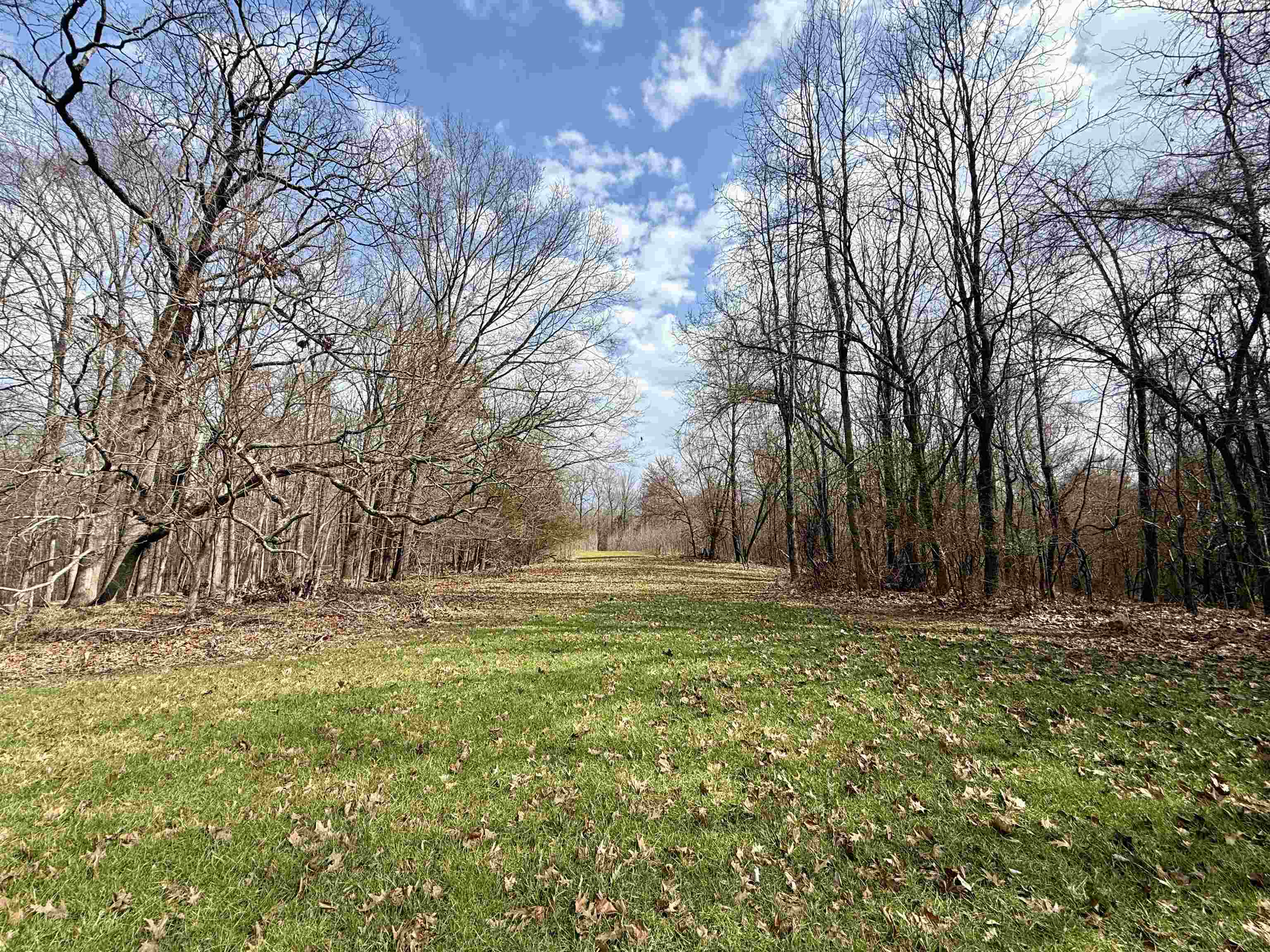 0 Old Brownsville Road Somerville, TN 38068 - Photo 24 of 40