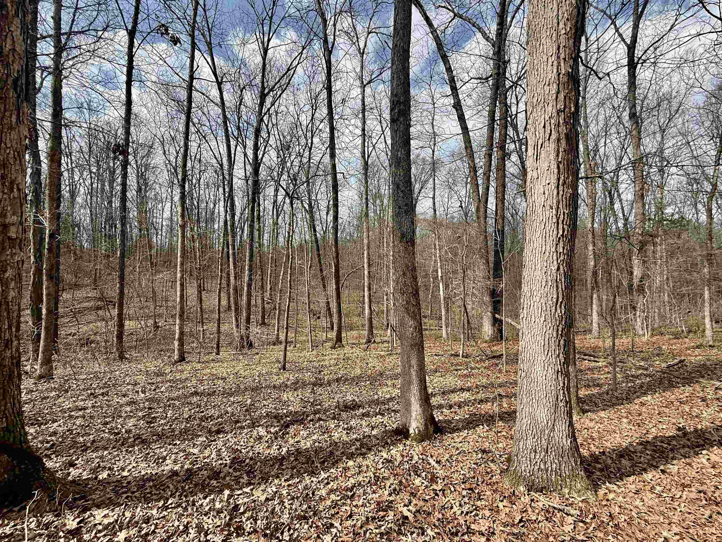 0 Old Brownsville Road Somerville, TN 38068 - Photo 27 of 40