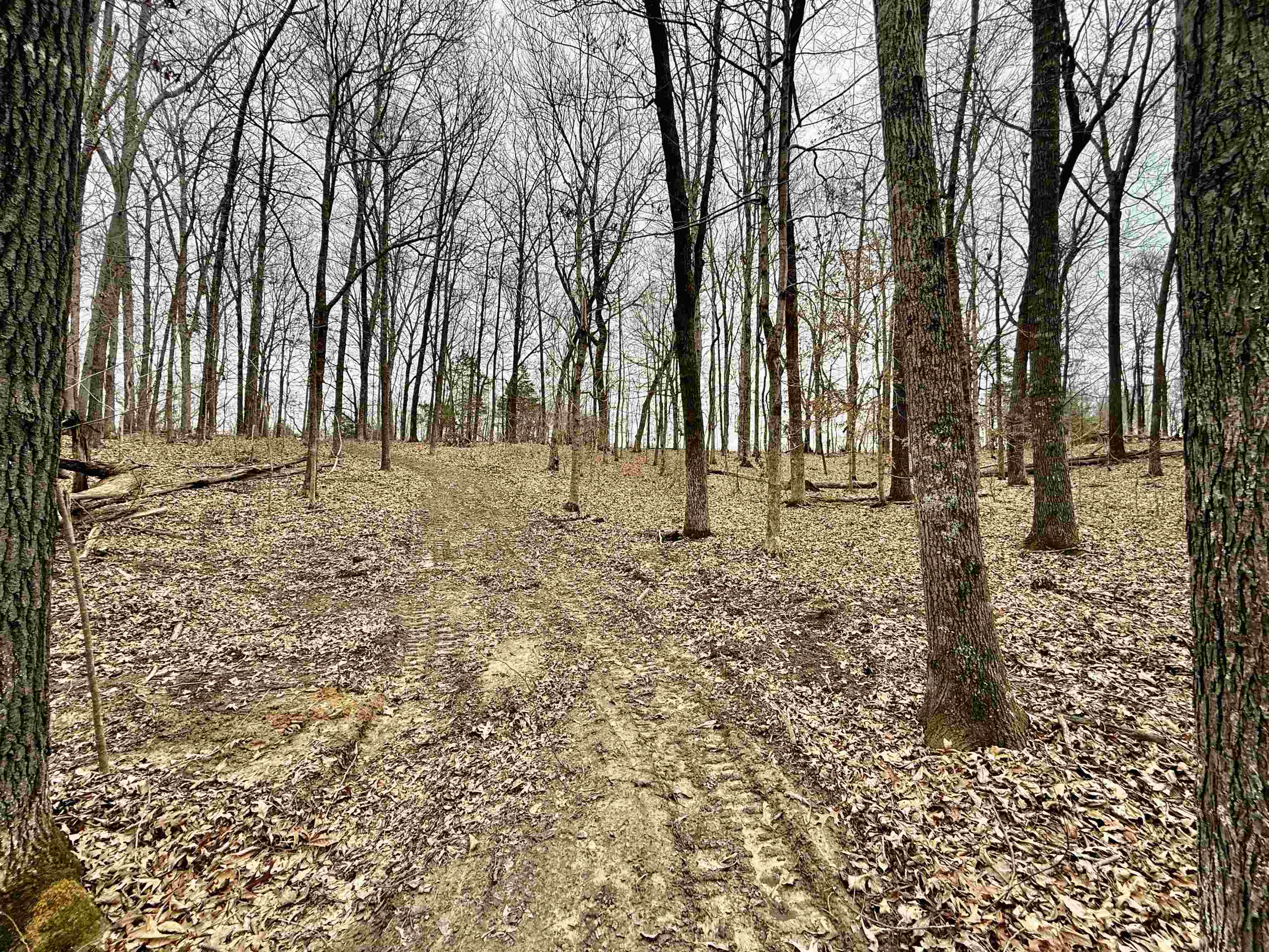 0 Old Brownsville Road Somerville, TN 38068 - Photo 28 of 40