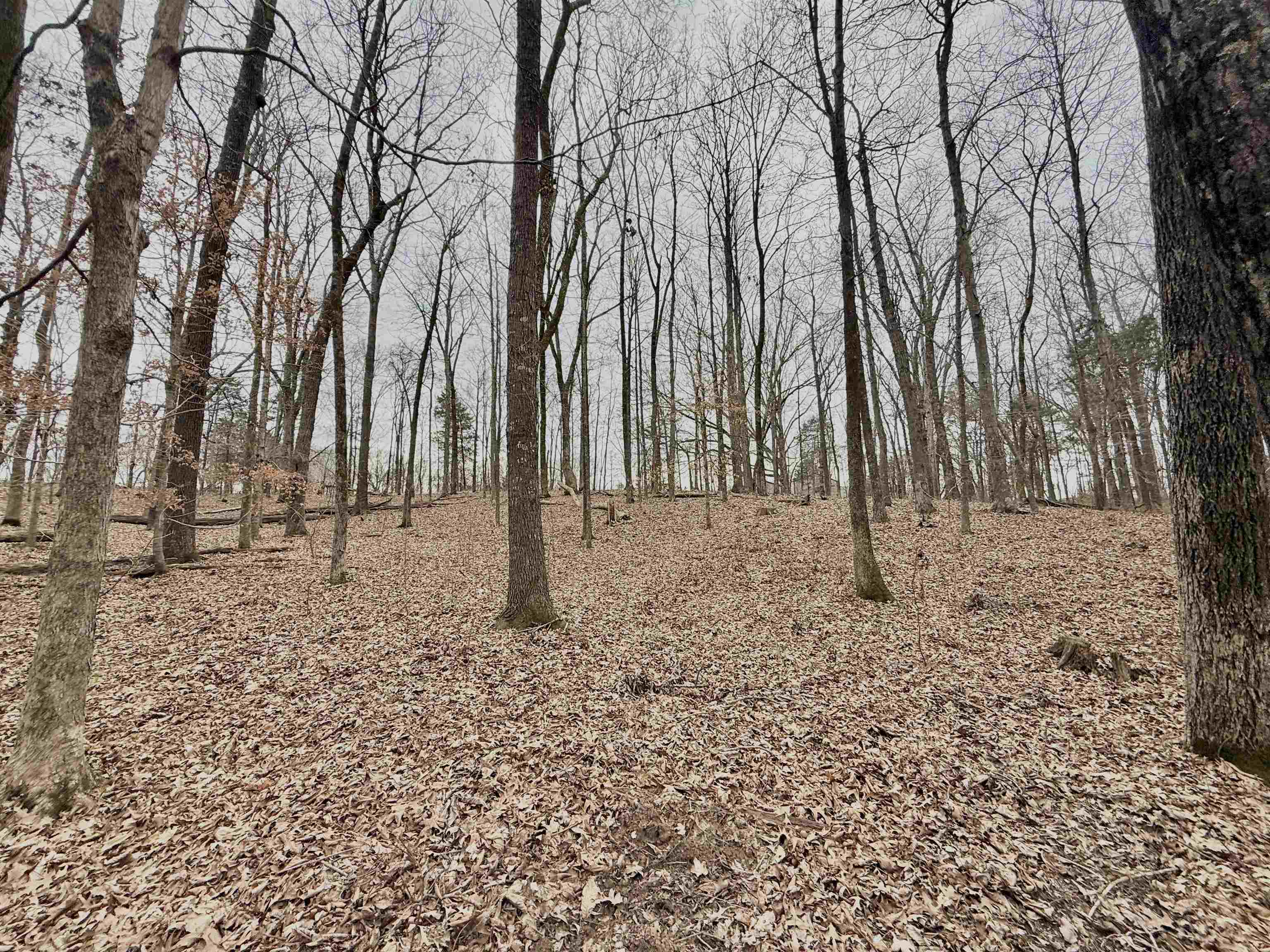 0 Old Brownsville Road Somerville, TN 38068 - Photo 29 of 40