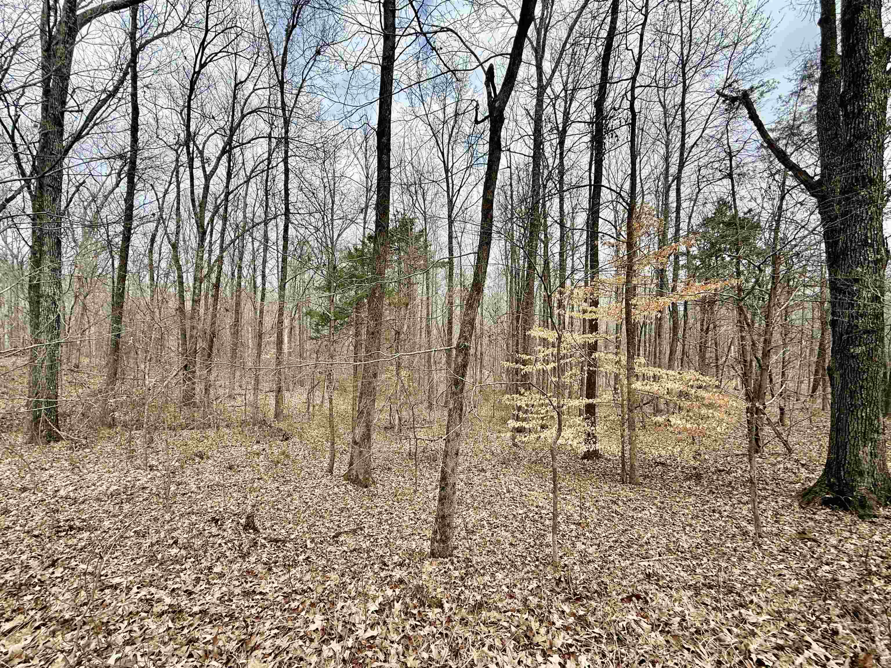 0 Old Brownsville Road Somerville, TN 38068 - Photo 30 of 40