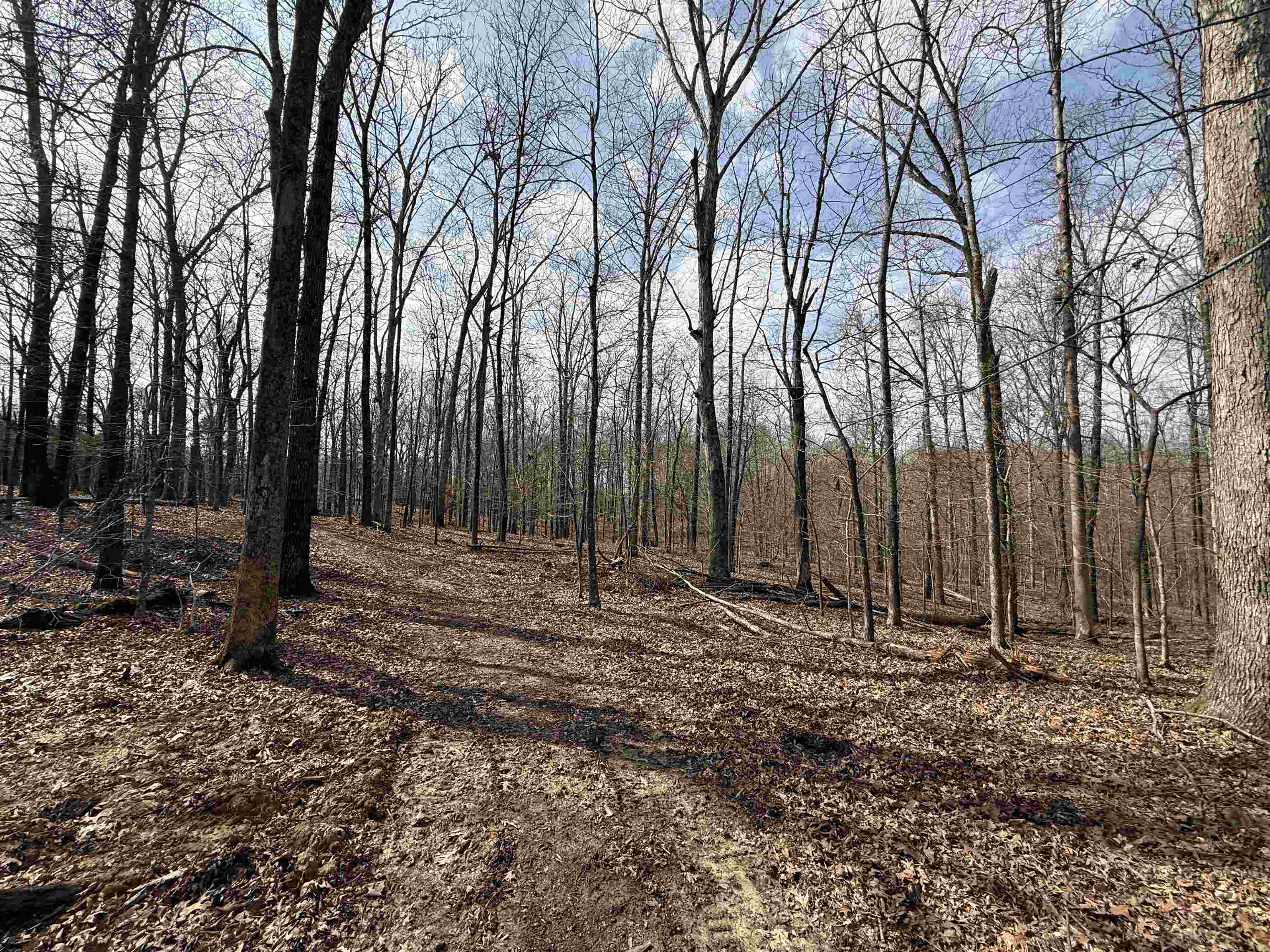 0 Old Brownsville Road Somerville, TN 38068 - Photo 31 of 40