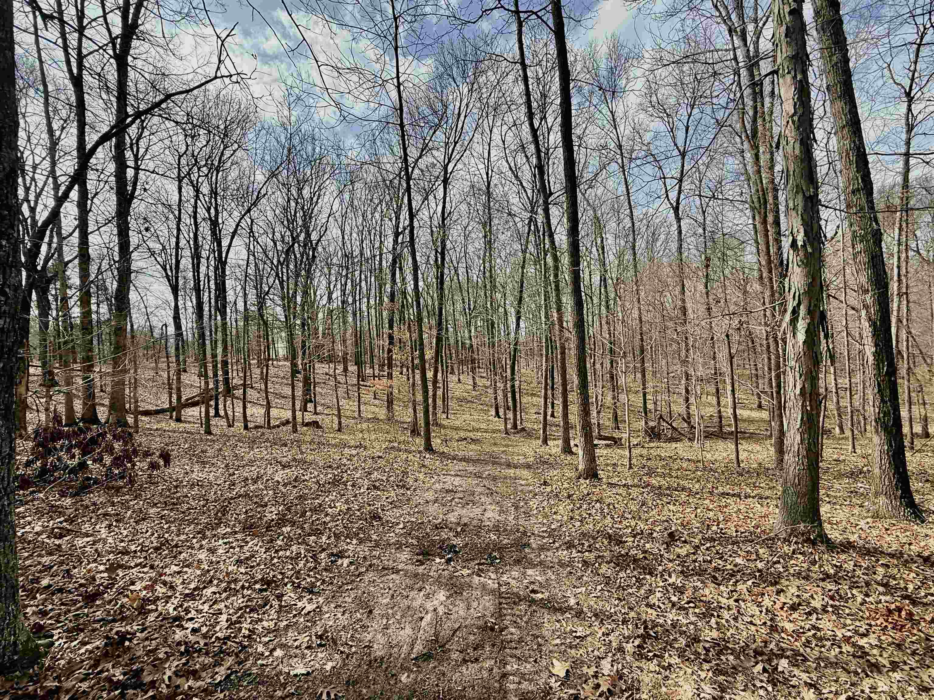 0 Old Brownsville Road Somerville, TN 38068 - Photo 32 of 40
