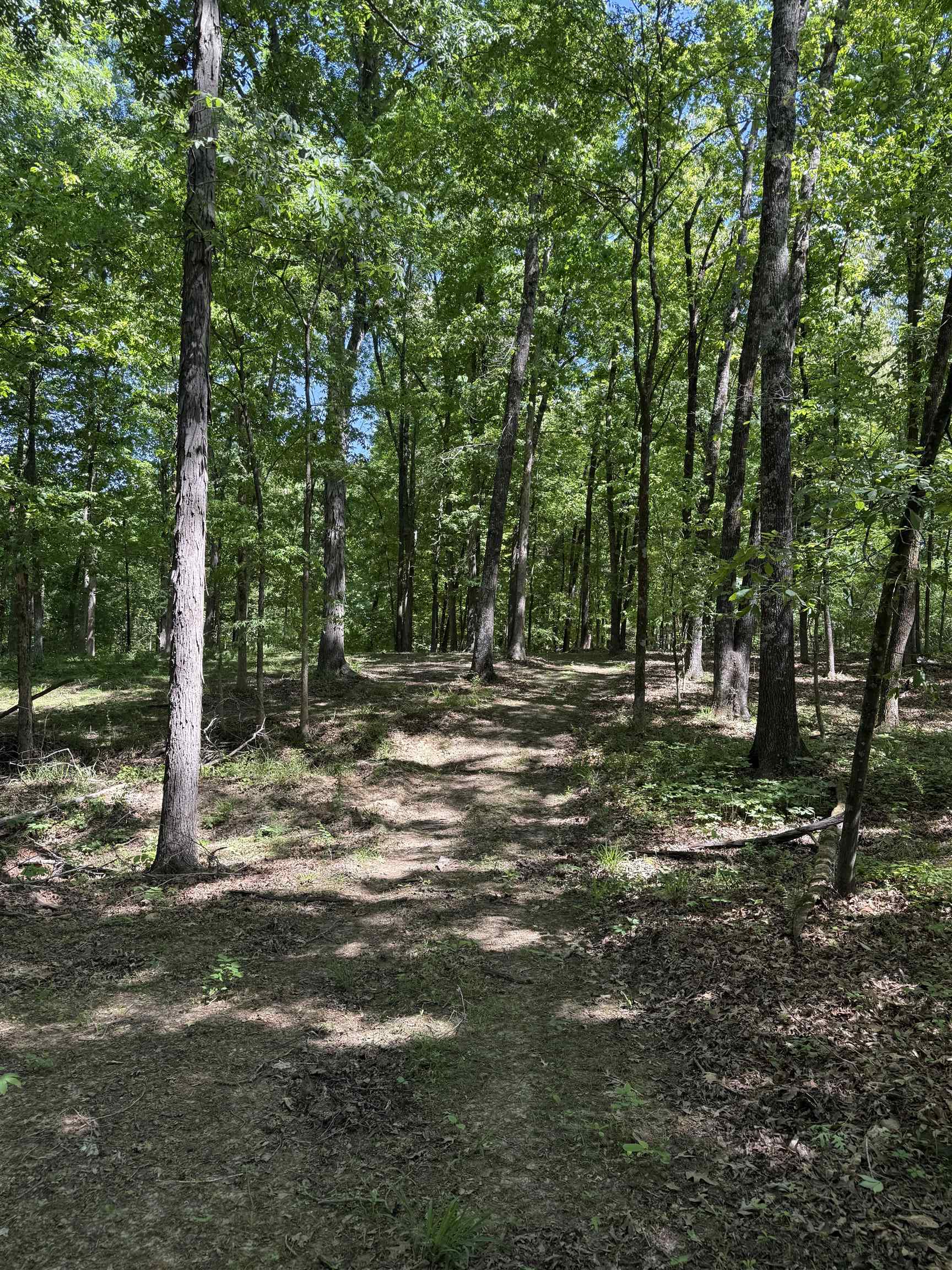 0 Old Brownsville Road Somerville, TN 38068 - Photo 35 of 40