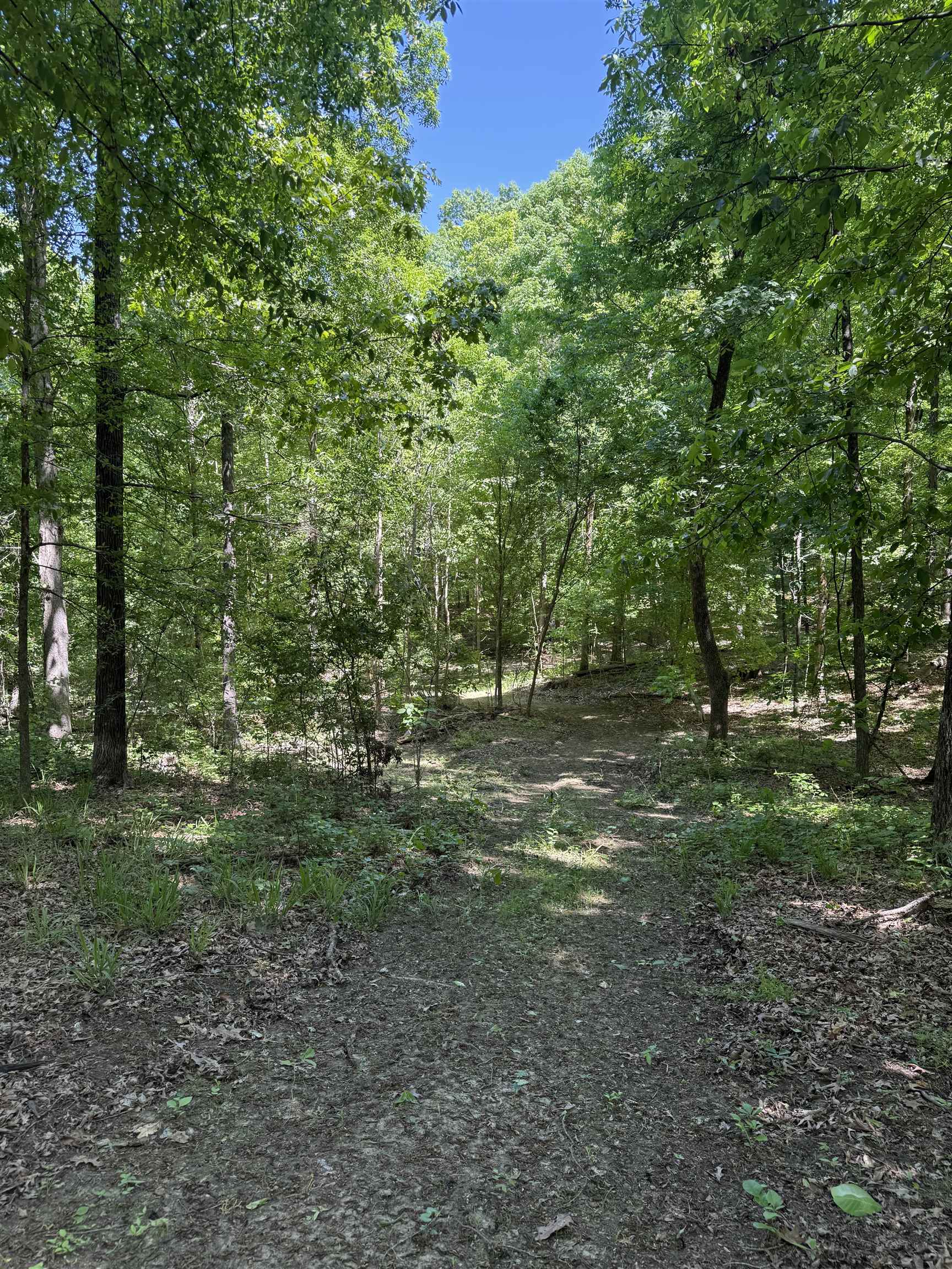 0 Old Brownsville Road Somerville, TN 38068 - Photo 36 of 40