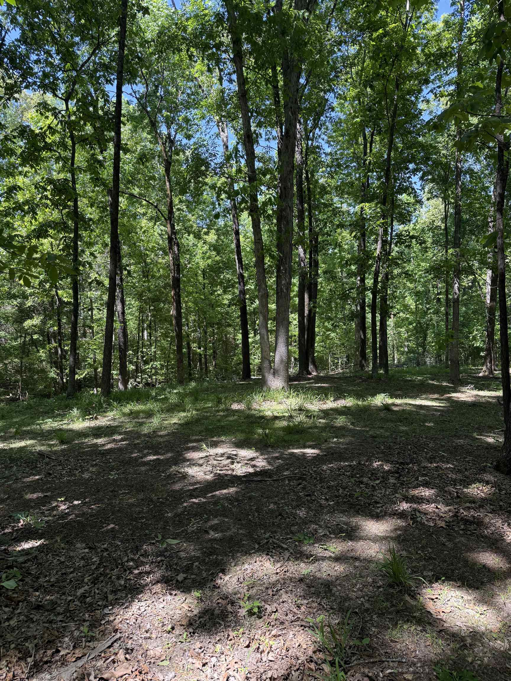 0 Old Brownsville Road Somerville, TN 38068 - Photo 37 of 40