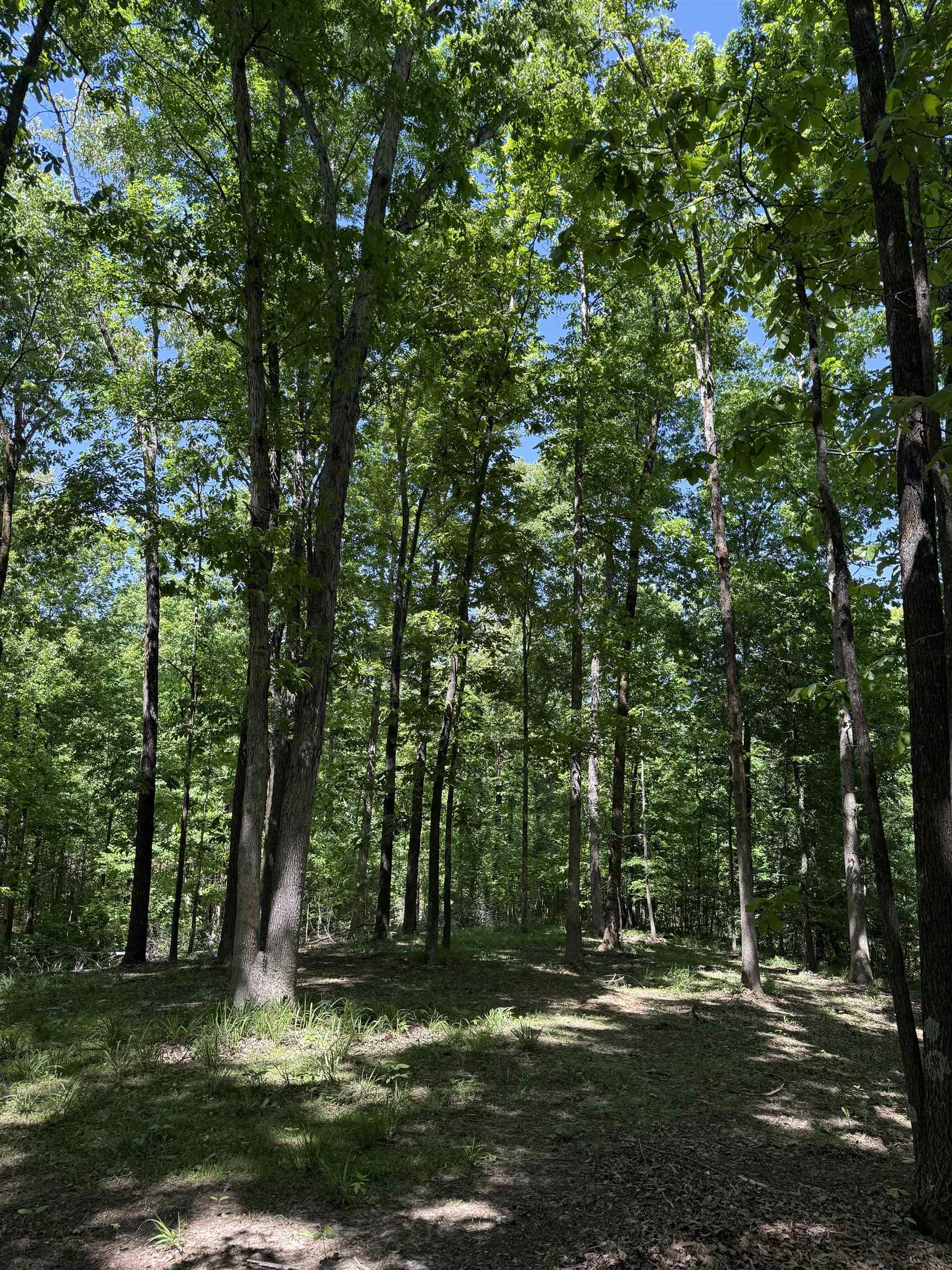 0 Old Brownsville Road Somerville, TN 38068 - Photo 38 of 40