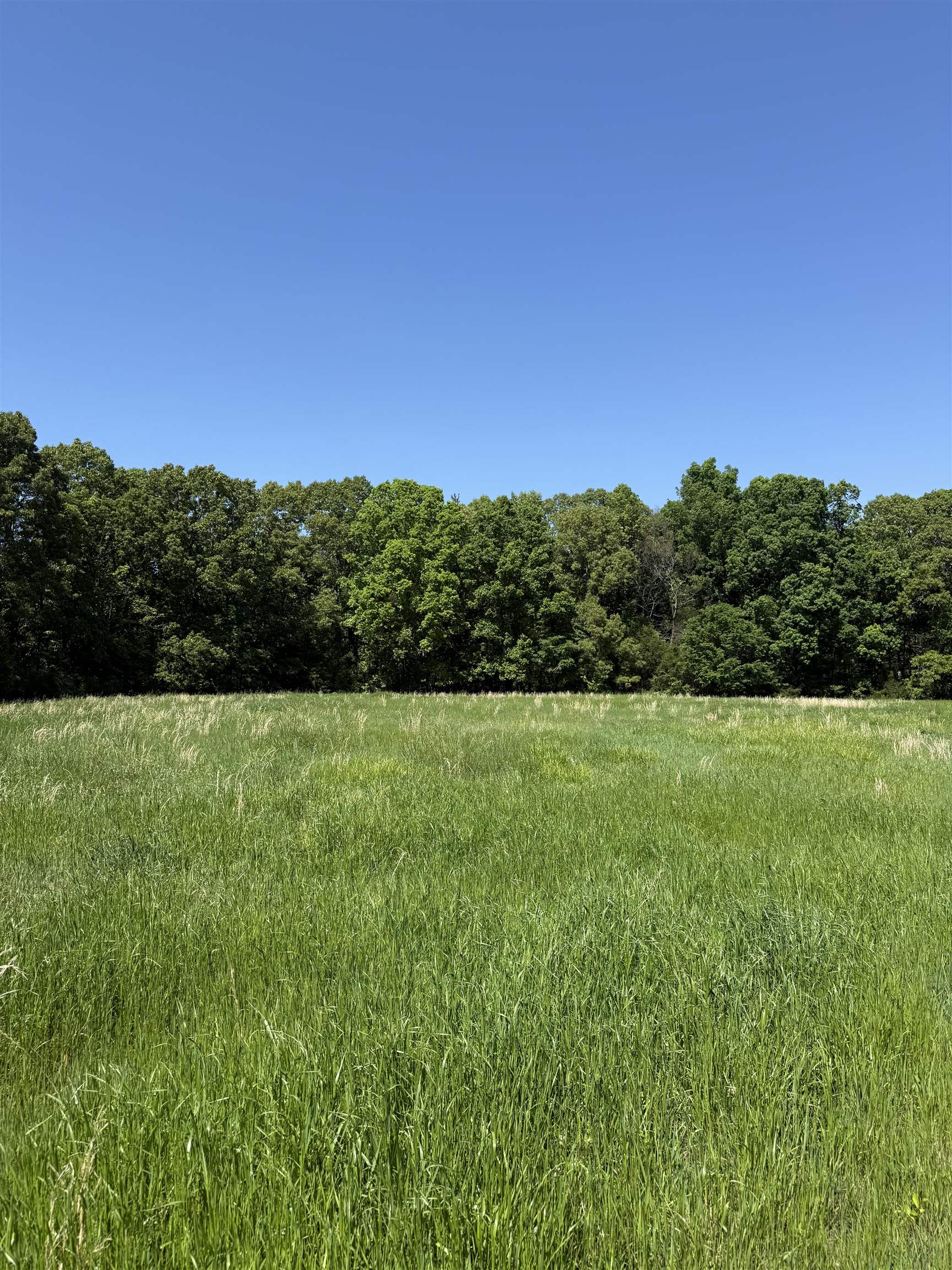 0 Old Brownsville Road Somerville, TN 38068 - Photo 40 of 40
