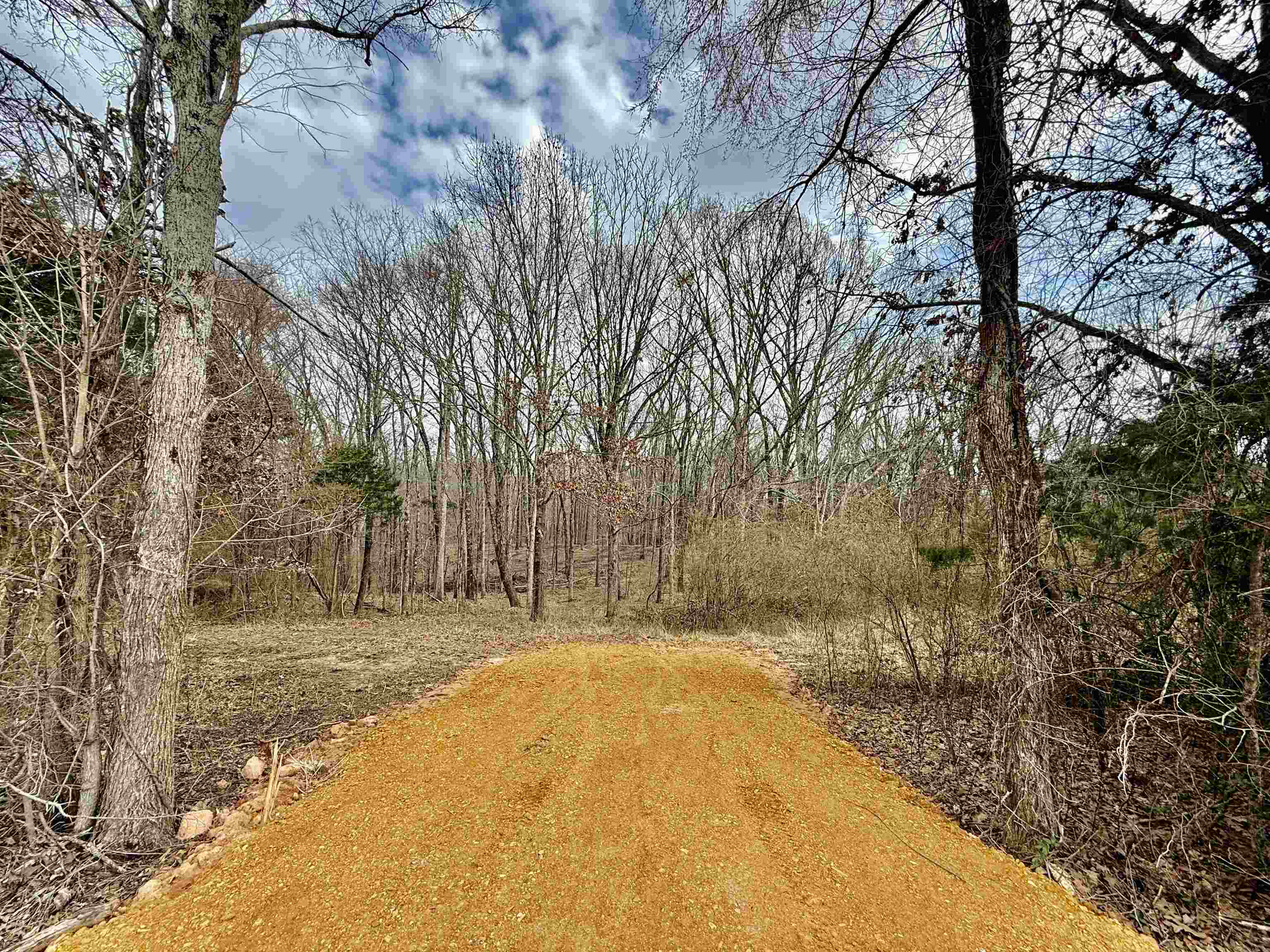 0 Old Brownsville Road Somerville, TN 38068 - Photo 4 of 40