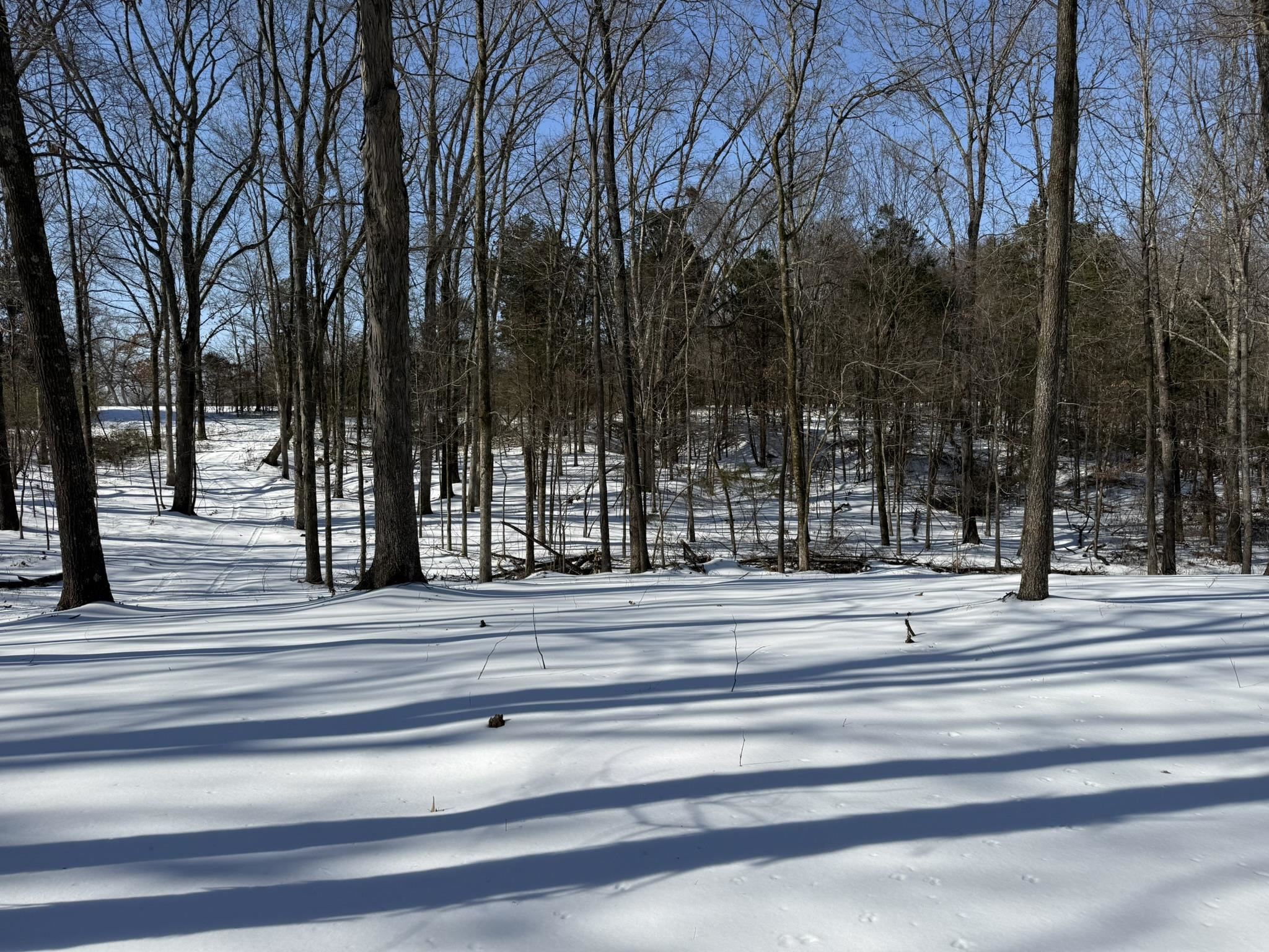 0 Old Brownsville Road Somerville, TN 38068 - Photo 4 of 16