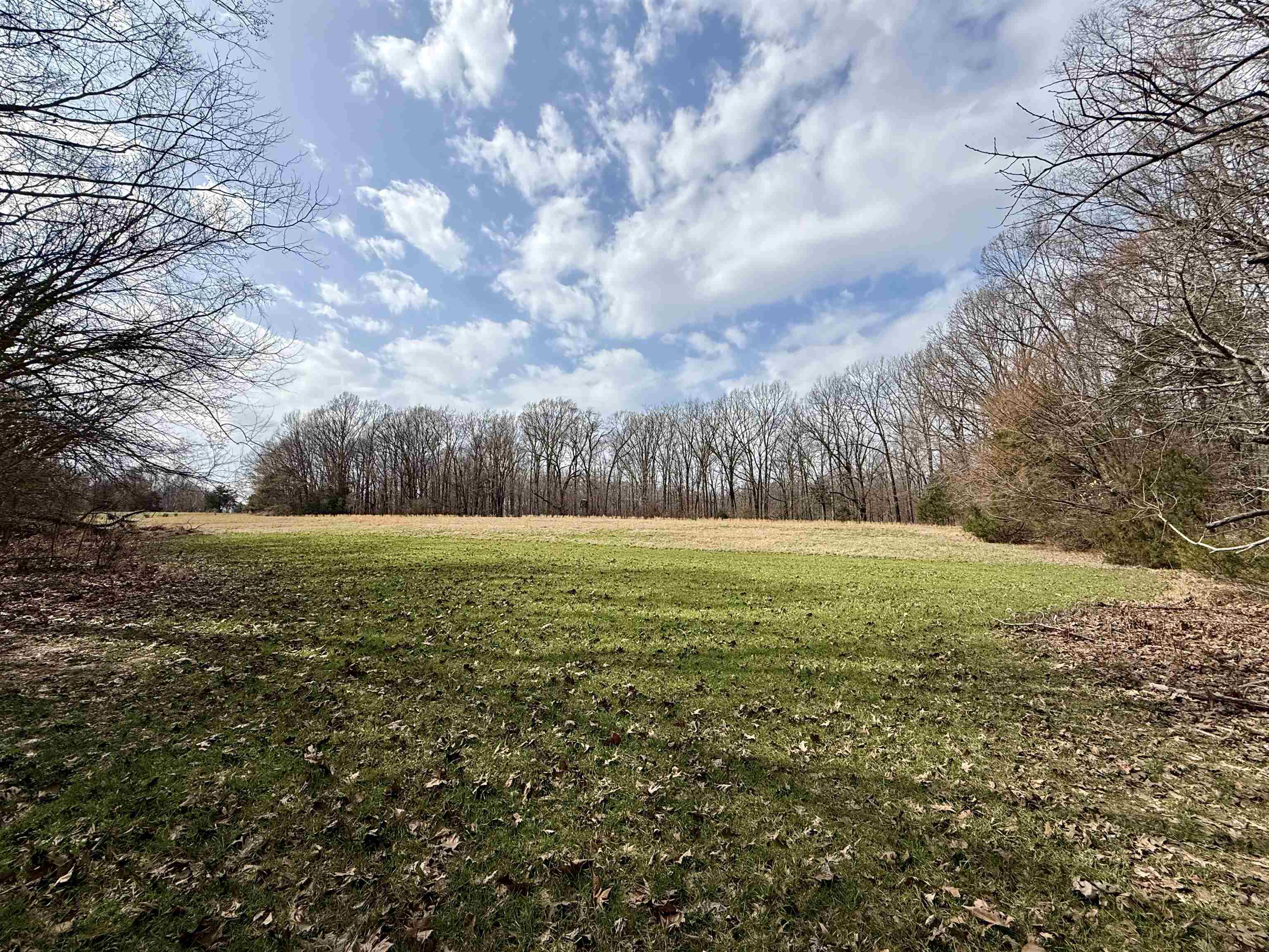 0 Old Brownsville Road Somerville, TN 38068 - Photo 5 of 40