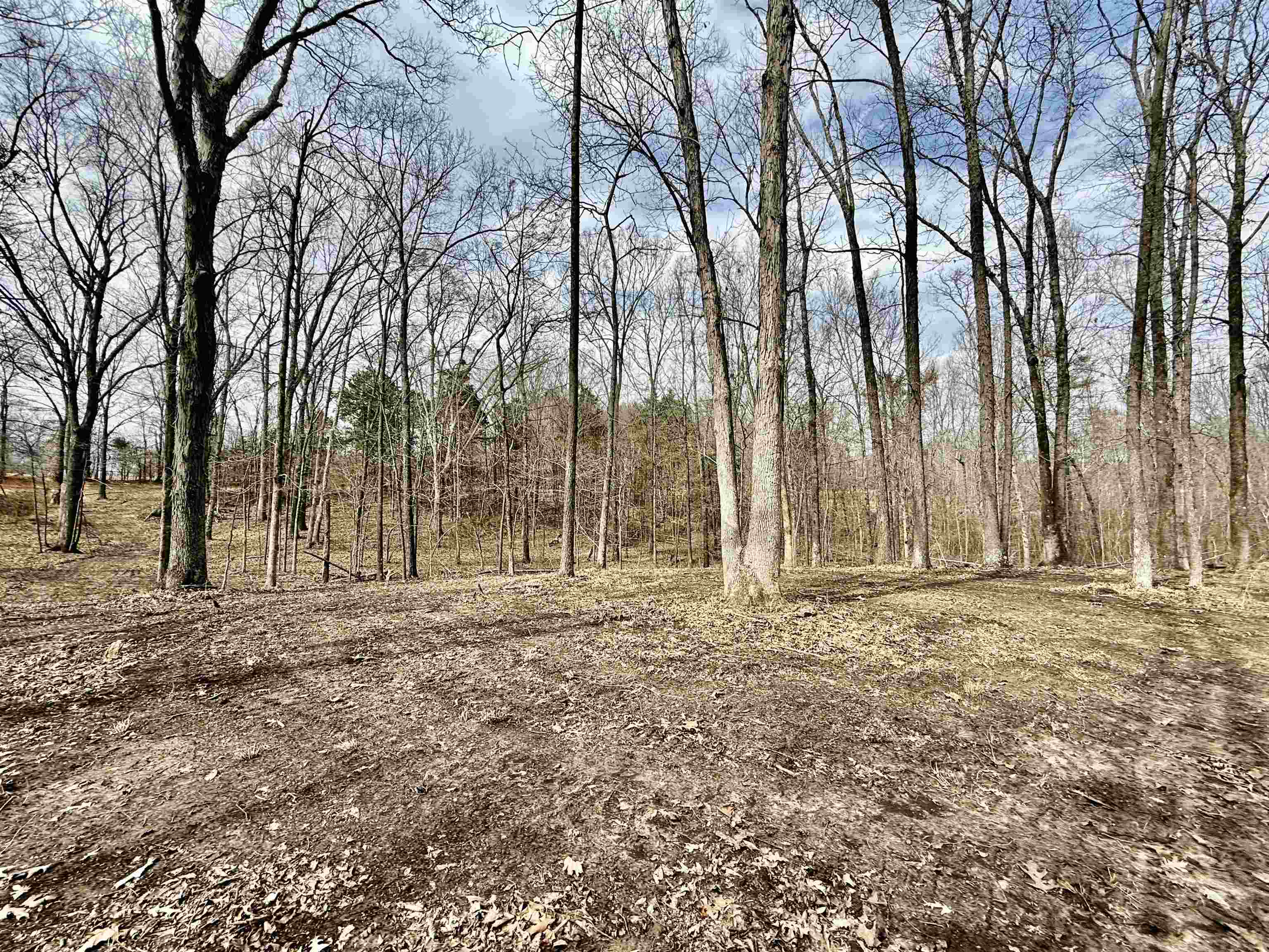 0 Old Brownsville Road Somerville, TN 38068 - Photo 6 of 40