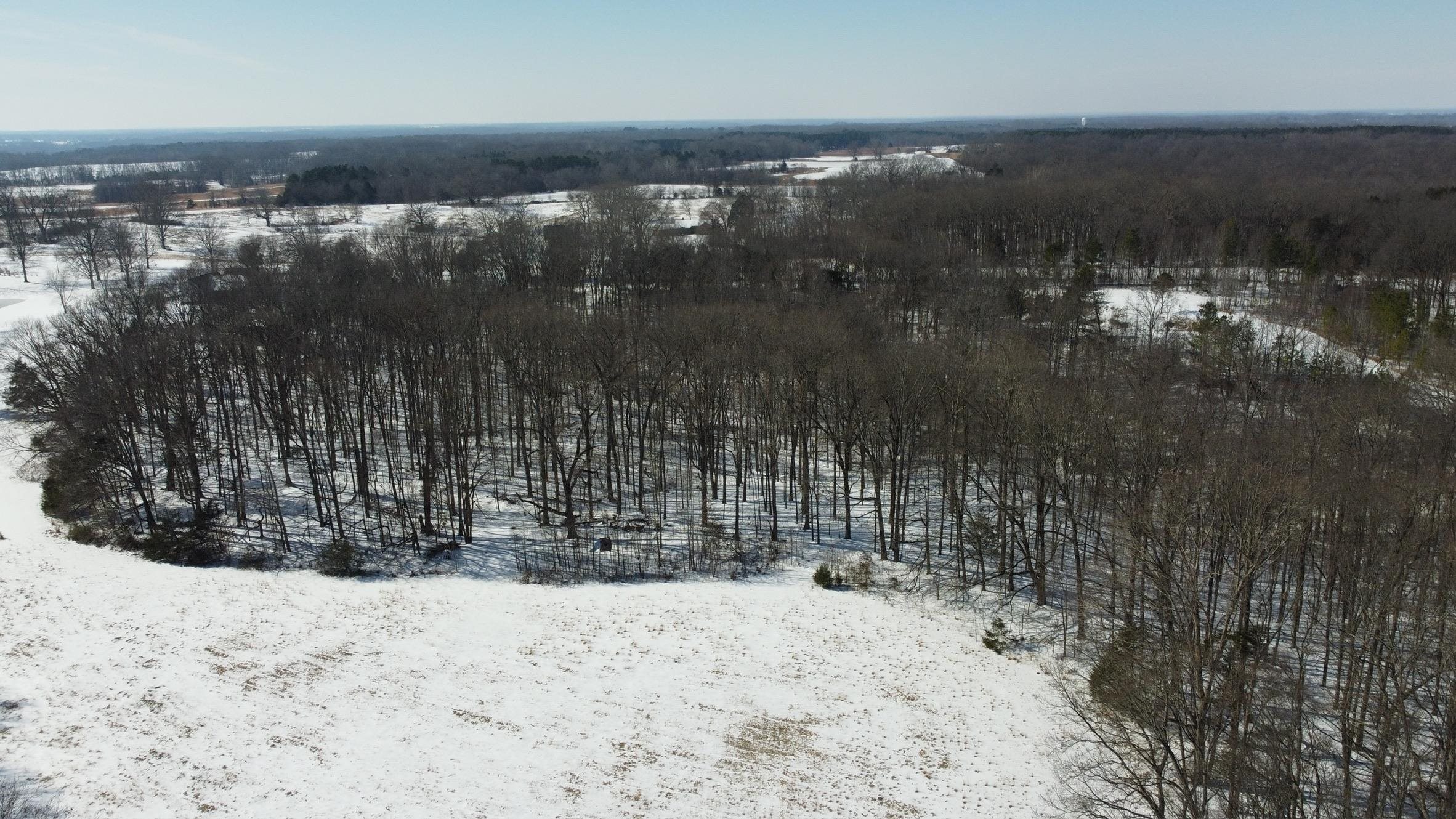 0 Old Brownsville Road Somerville, TN 38068 - Photo 6 of 16