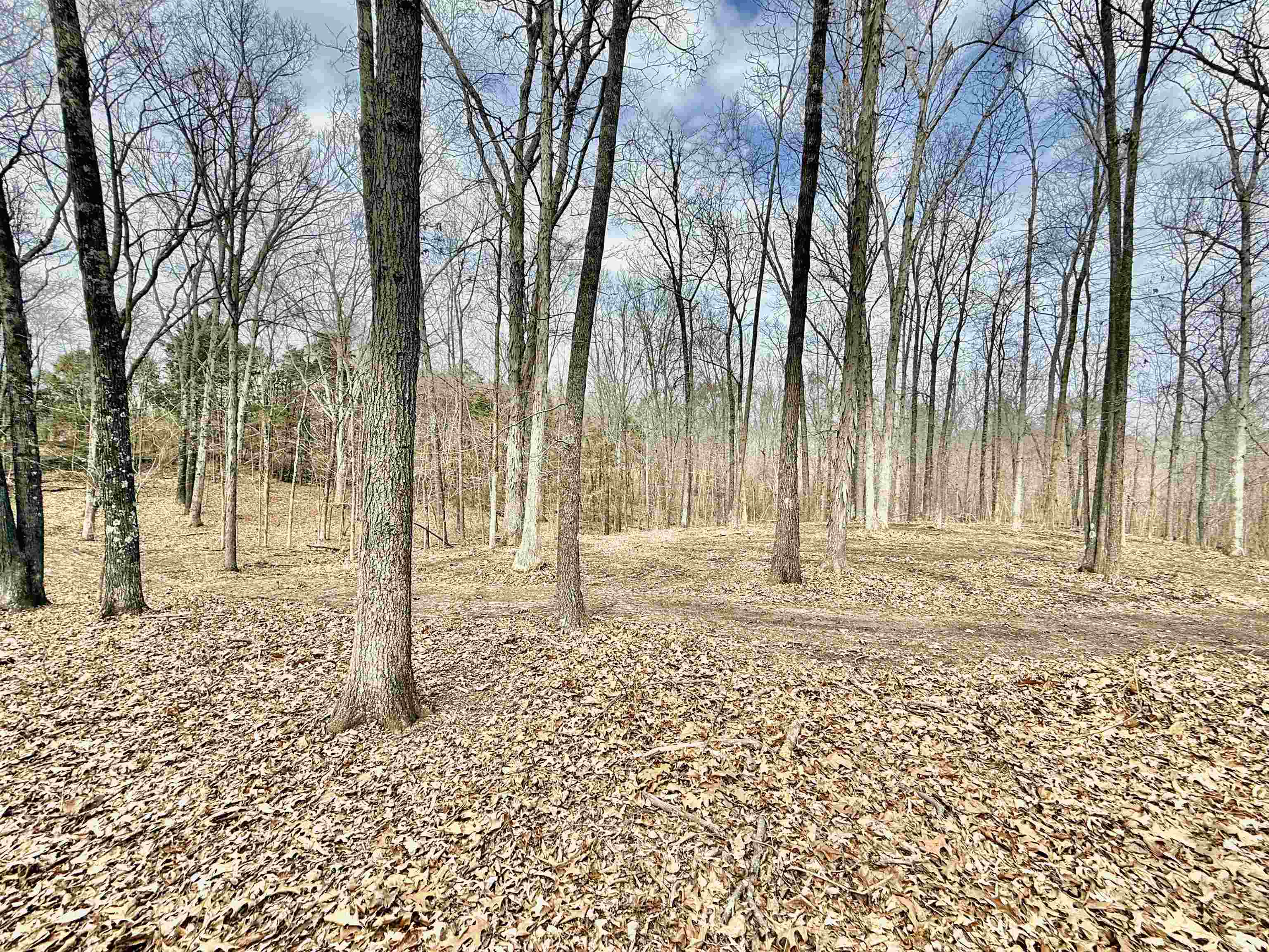 0 Old Brownsville Road Somerville, TN 38068 - Photo 7 of 40