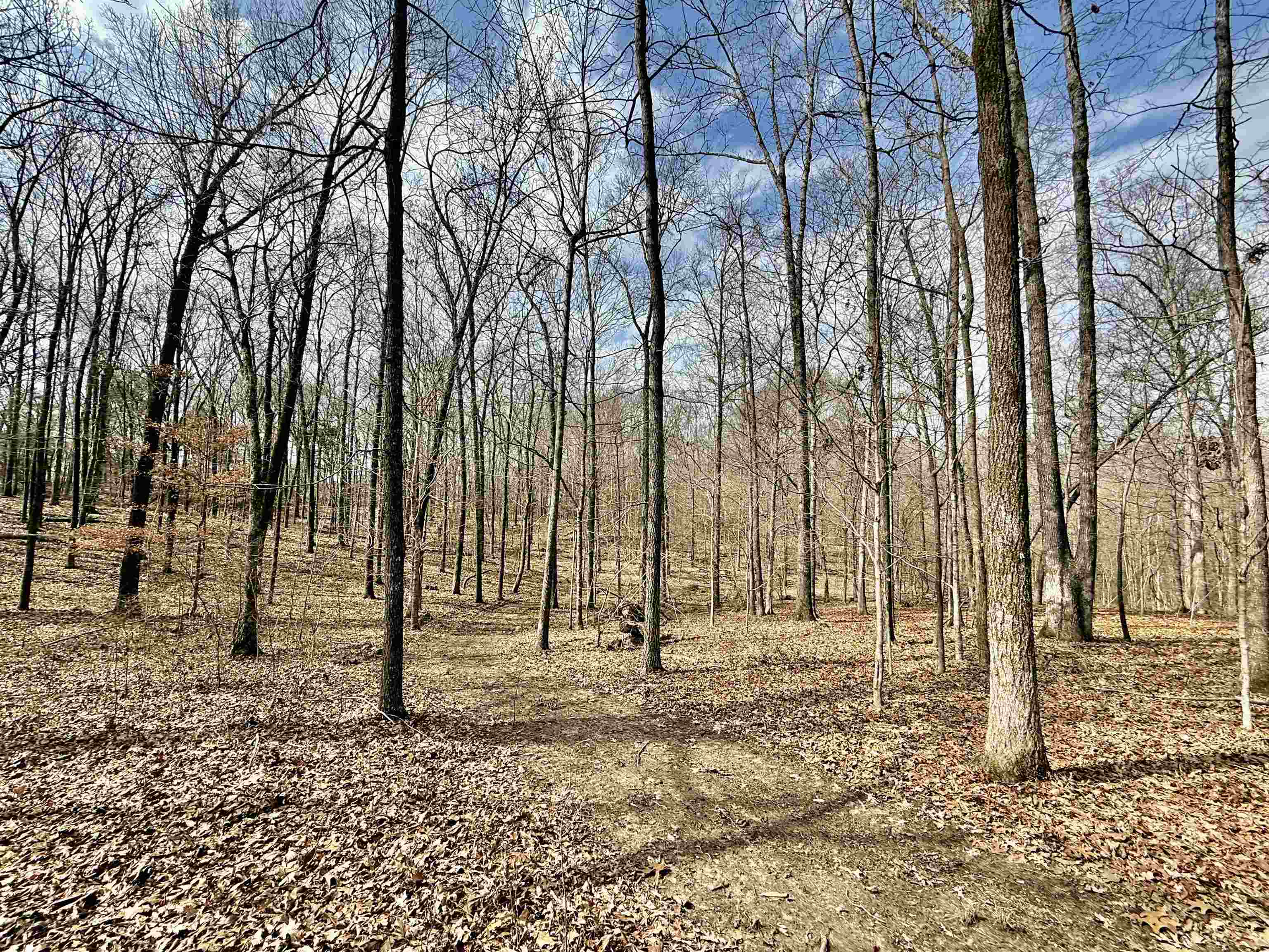 0 Old Brownsville Road Somerville, TN 38068 - Photo 8 of 40