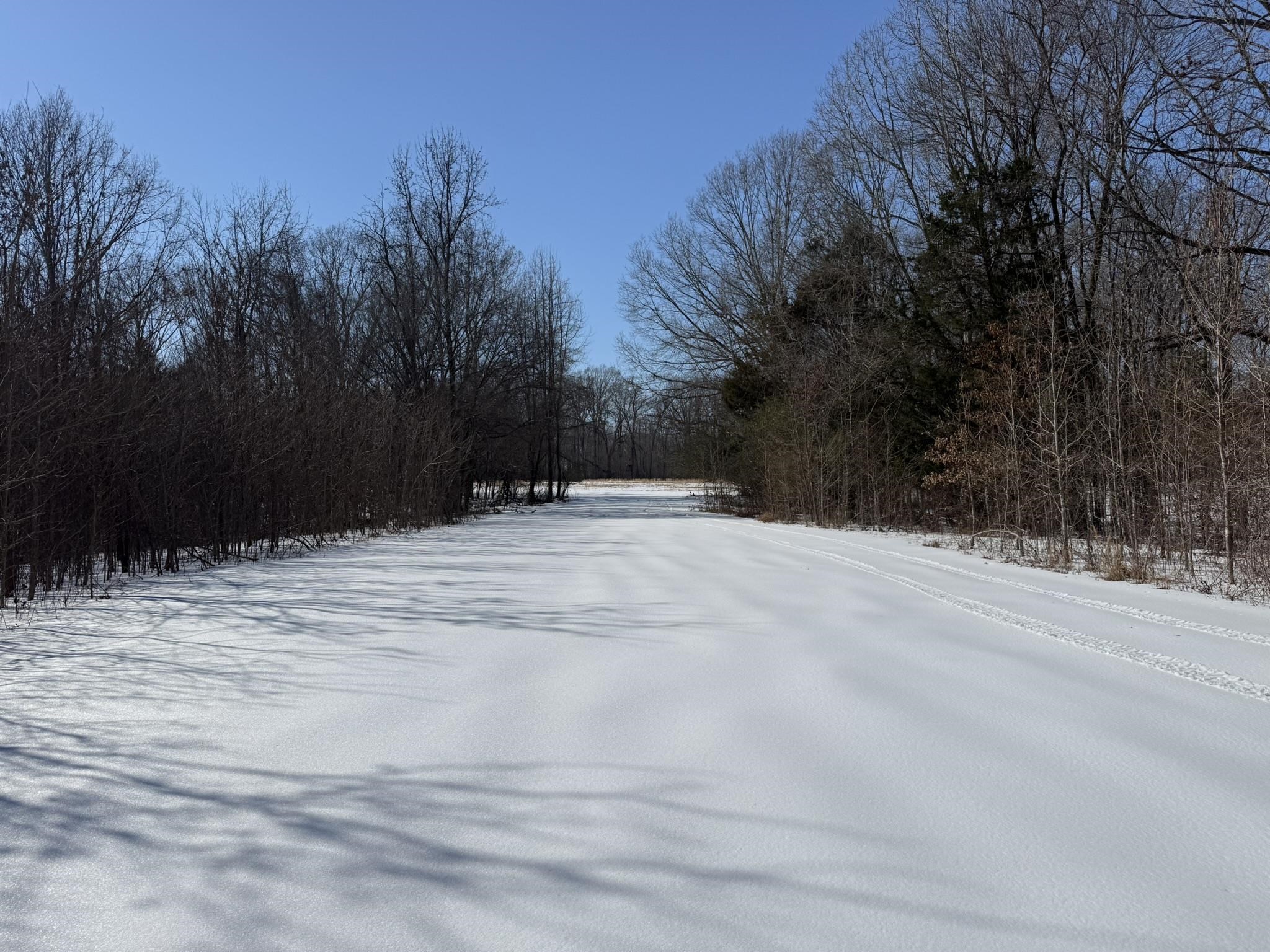 0 Old Brownsville Road Somerville, TN 38068 - Photo 10 of 16