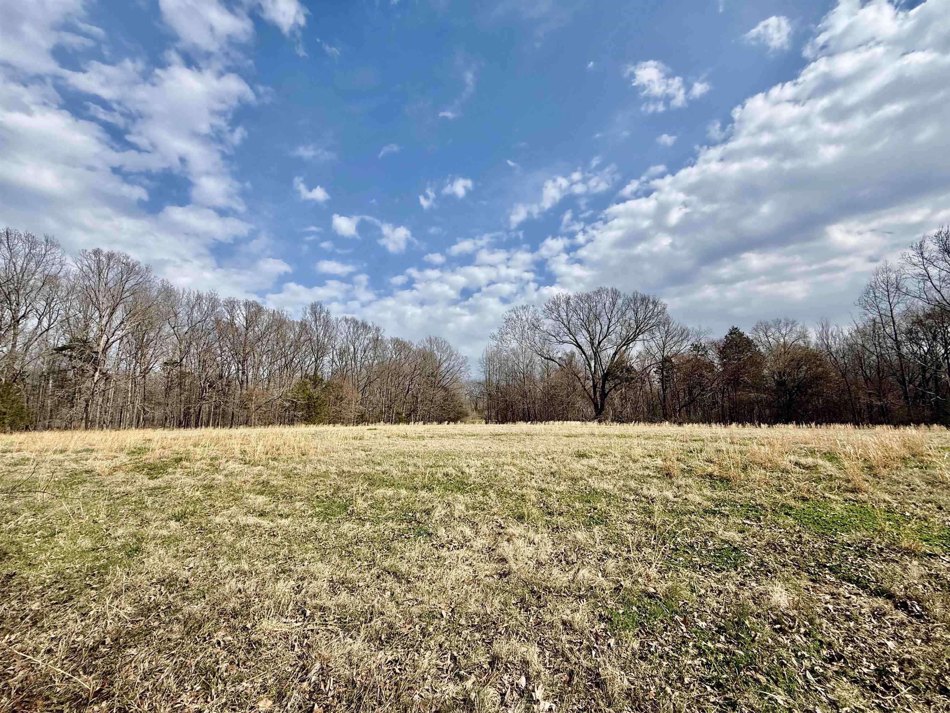 0 Old Brownsville Road Somerville, TN 38068 - Photo 10 of 40