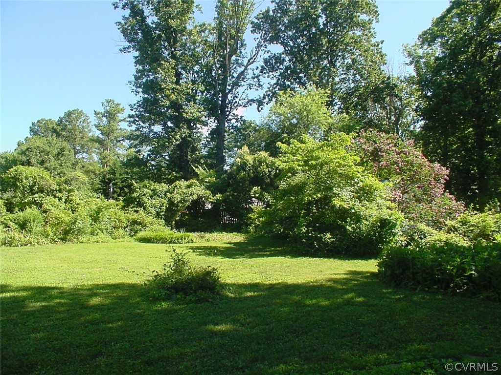 8420 Larkspur Road North Chesterfield, VA 23235 - Photo 44 of 47 Back yard privacy