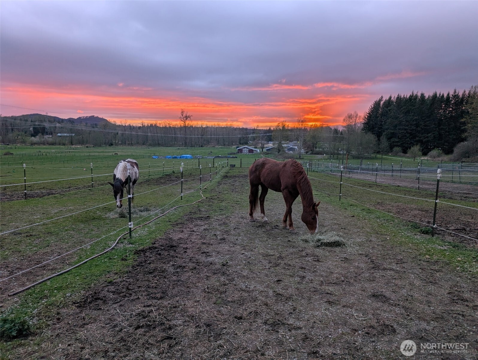 5334 Tenneson Road Sedro-Woolley, WA 98284 - Photo 39 of 39