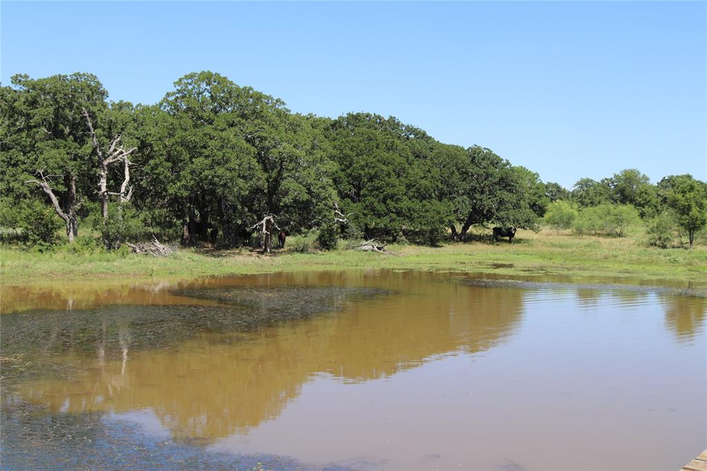 1878 Feed Road Bellevue, TX 76228 - Photo 18 of 23