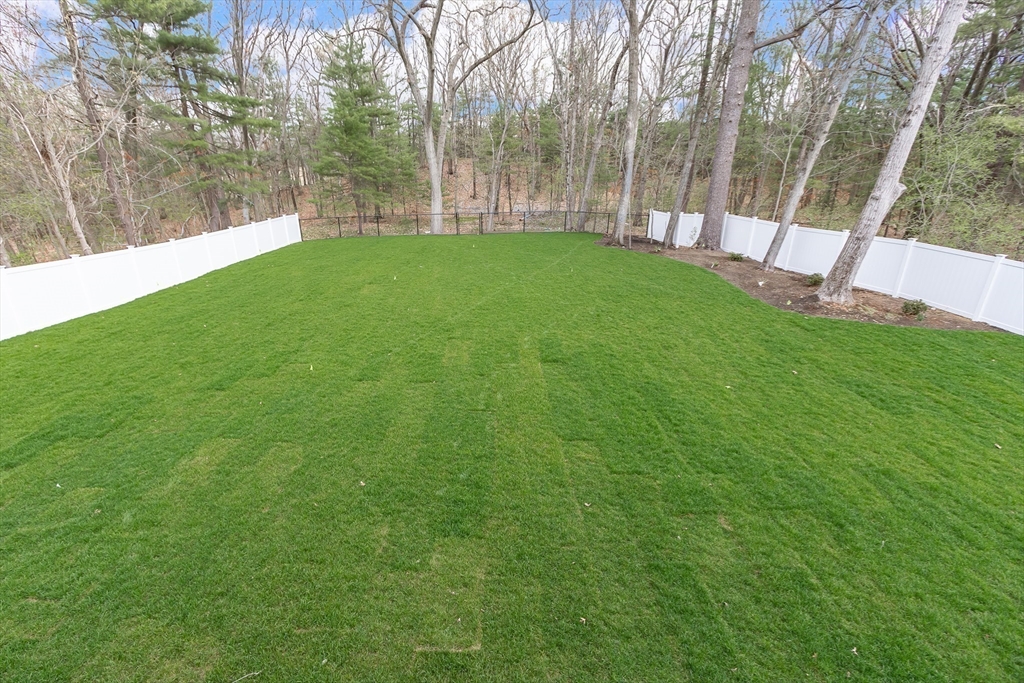 802 Greendale Avenue Needham, MA 02492 - Photo 6 of 40