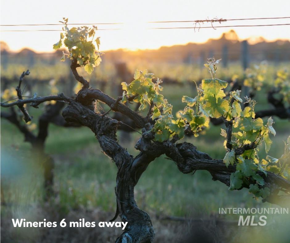 14361 Fractus Drive Caldwell, ID 83607 - Photo 42 of 50 Exterior view