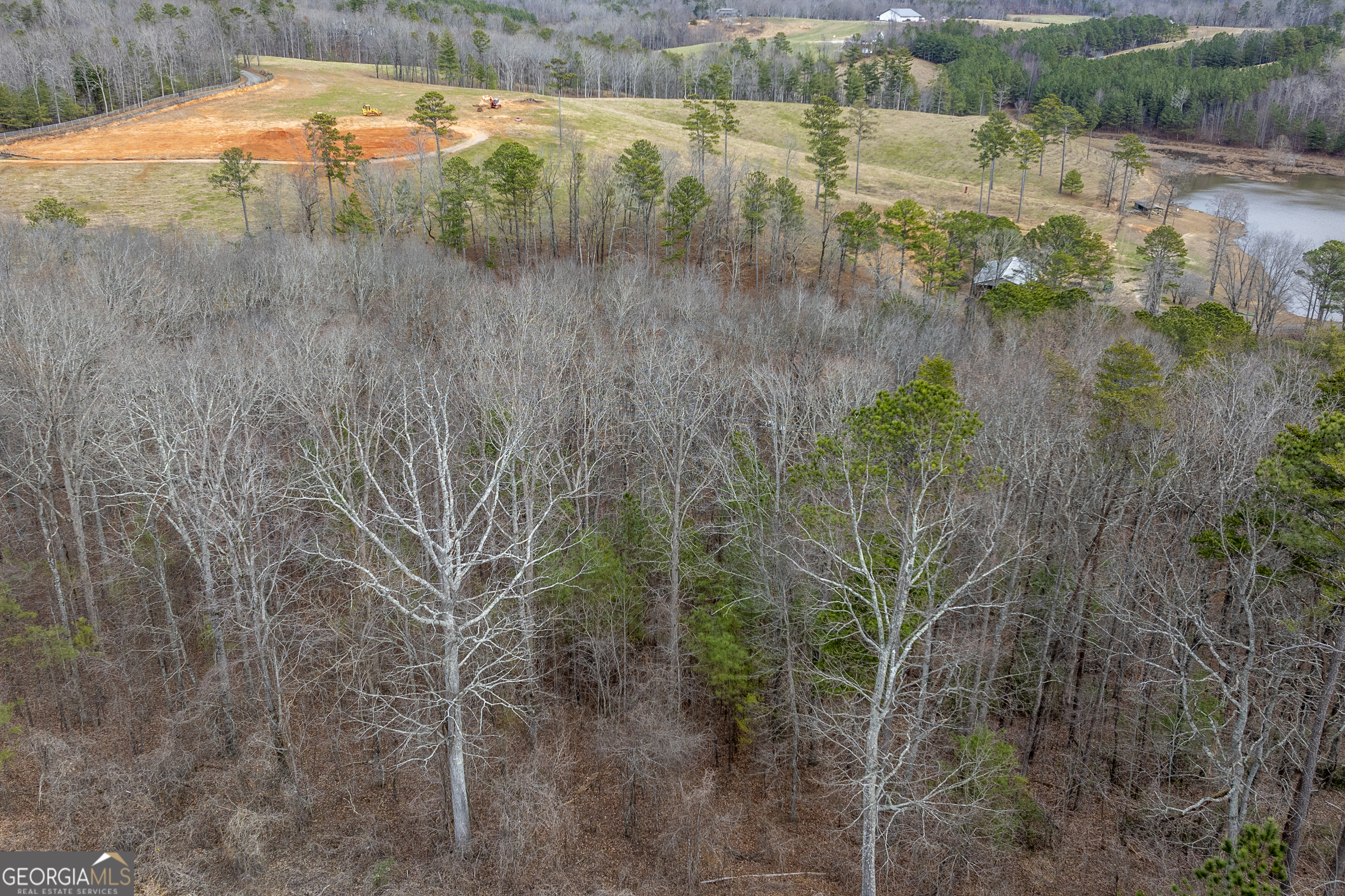 0 Cowart Mountain Tract 2 Road Jasper, GA 30143 - Photo 18 of 19