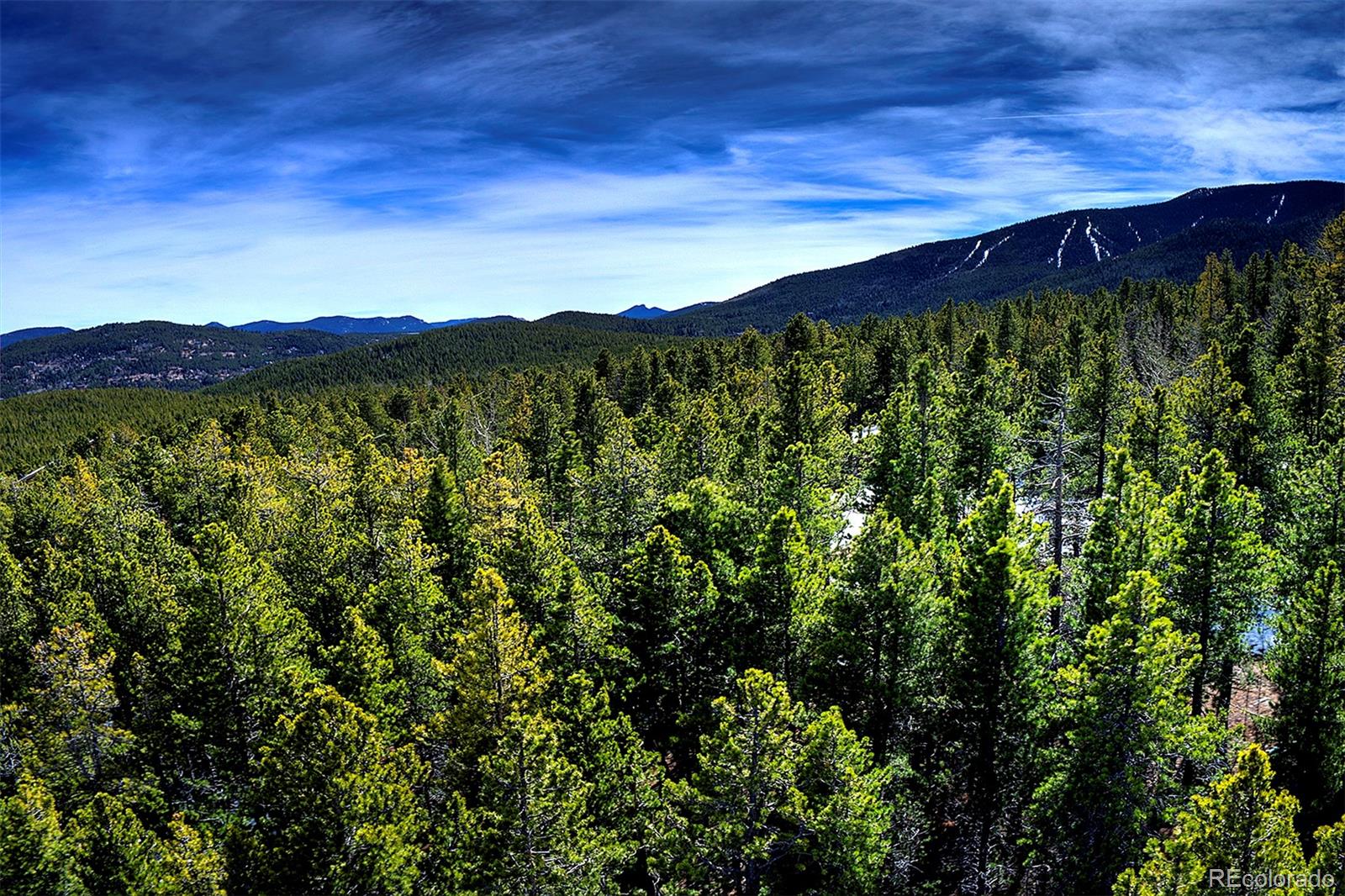 508 Paiute Road Evergreen, CO 80439 - Photo 4 of 34