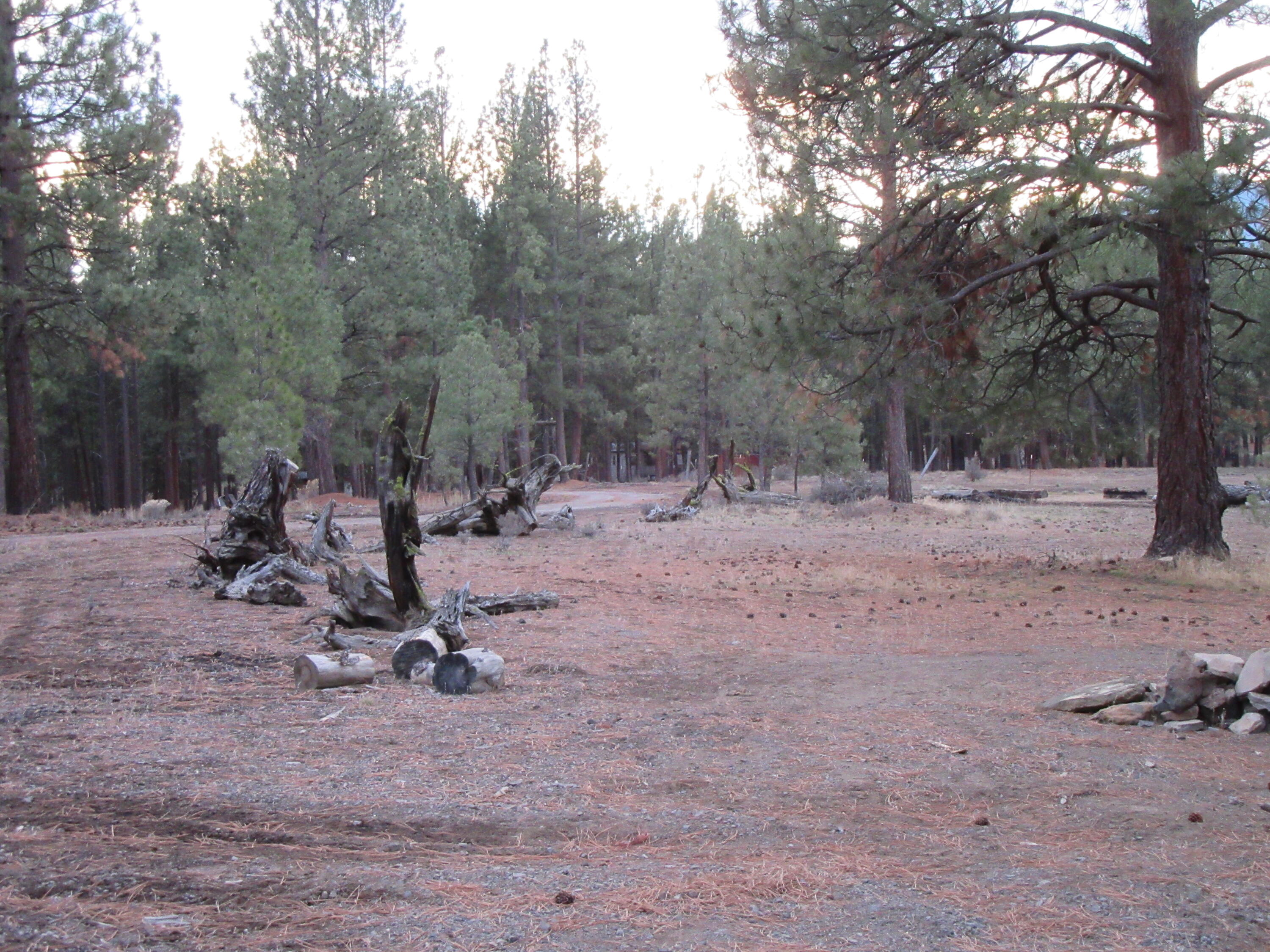 16144 Sprague River Road Chiloquin, OR 97624 - Photo 71 of 80 More of land 2