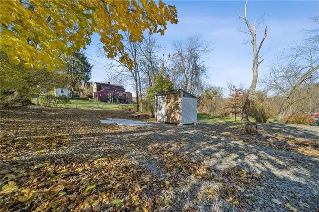 a view of a backyard with large trees