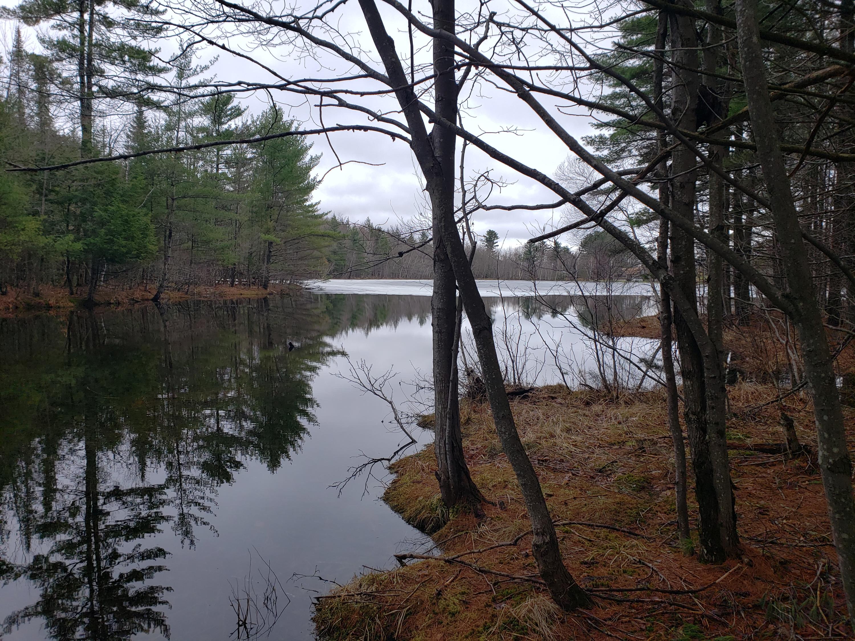999 Coolidge Road Dixfield, ME 04224 - Photo 8 of 45 20190423_104651