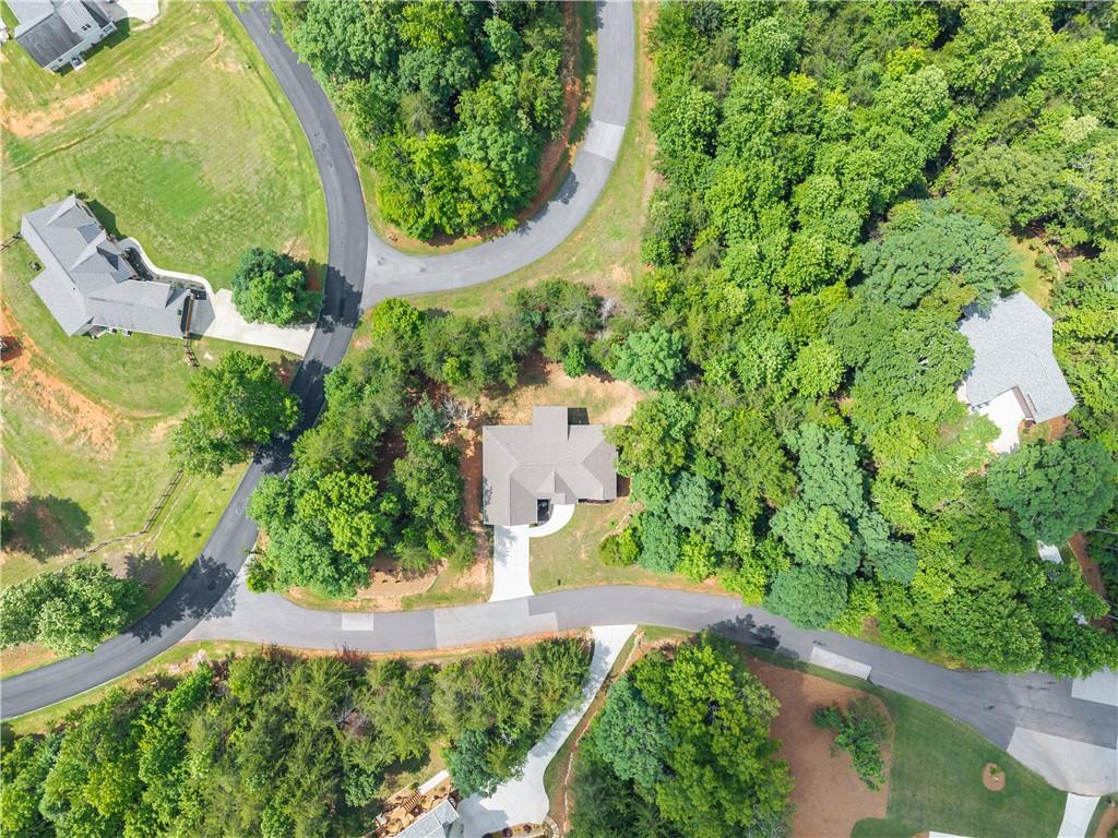 35 Chimney Lane Cleveland, GA 30528 - Photo 49 of 64