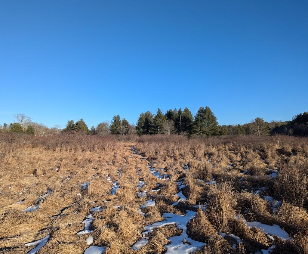 Tbd Firehouse Road Northwest Willis, VA 24380 - Photo 18 of 23 a view of a sky