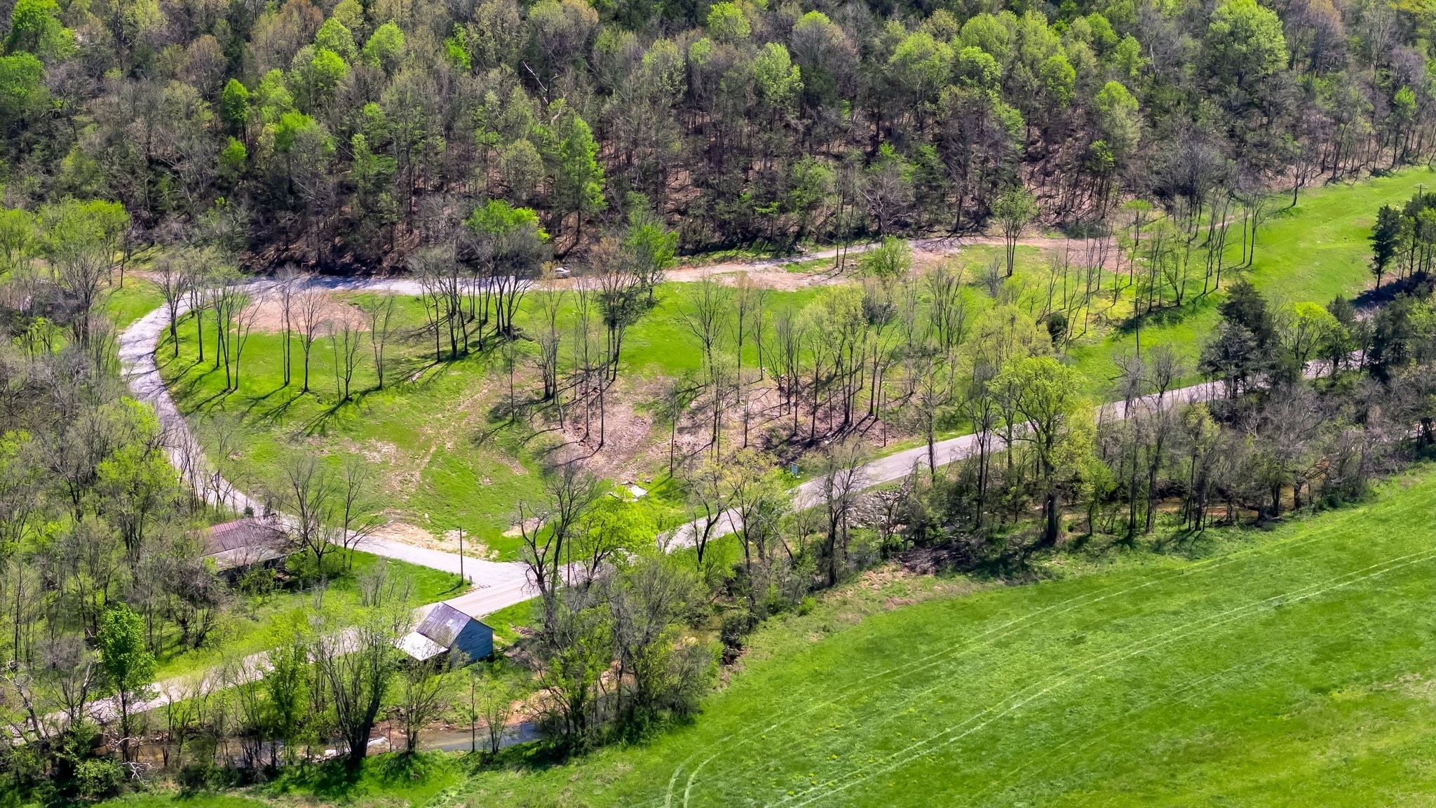 2819 Yell Road Lewisburg, TN 37091 - Photo 1 of 46 a view of a lake with a tree