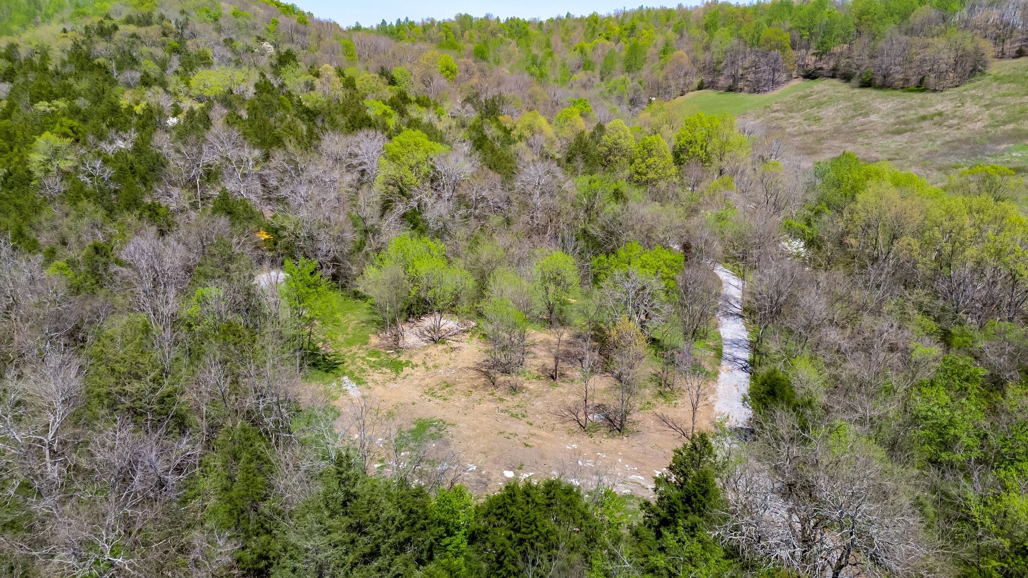 2819 Yell Road Lewisburg, TN 37091 - Photo 13 of 46 a view of a lush green forest with lots of trees