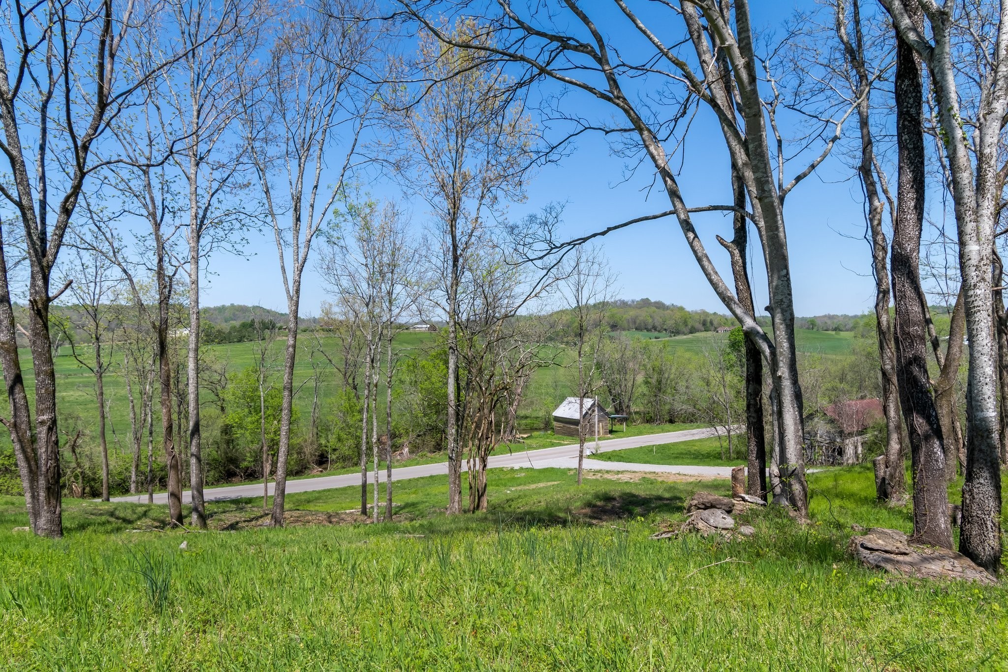 2819 Yell Road Lewisburg, TN 37091 - Photo 17 of 46 a view of a park