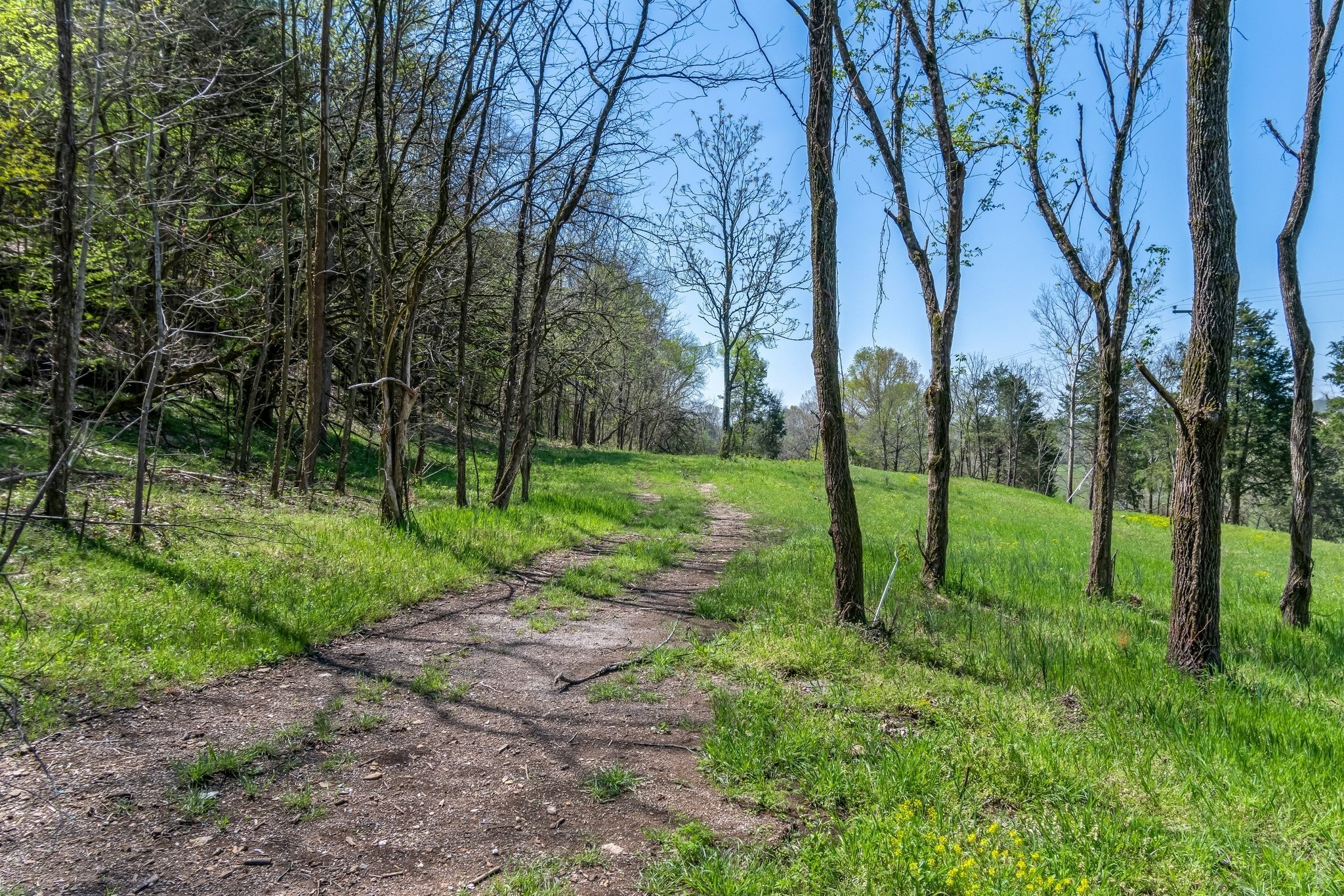 2819 Yell Road Lewisburg, TN 37091 - Photo 19 of 46 a view of a park