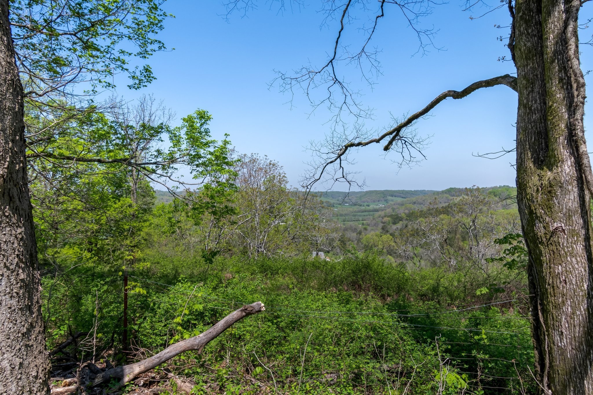 2819 Yell Road Lewisburg, TN 37091 - Photo 2 of 46 a view of a yard