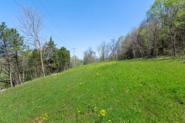 a view of a grassy field with trees in the background