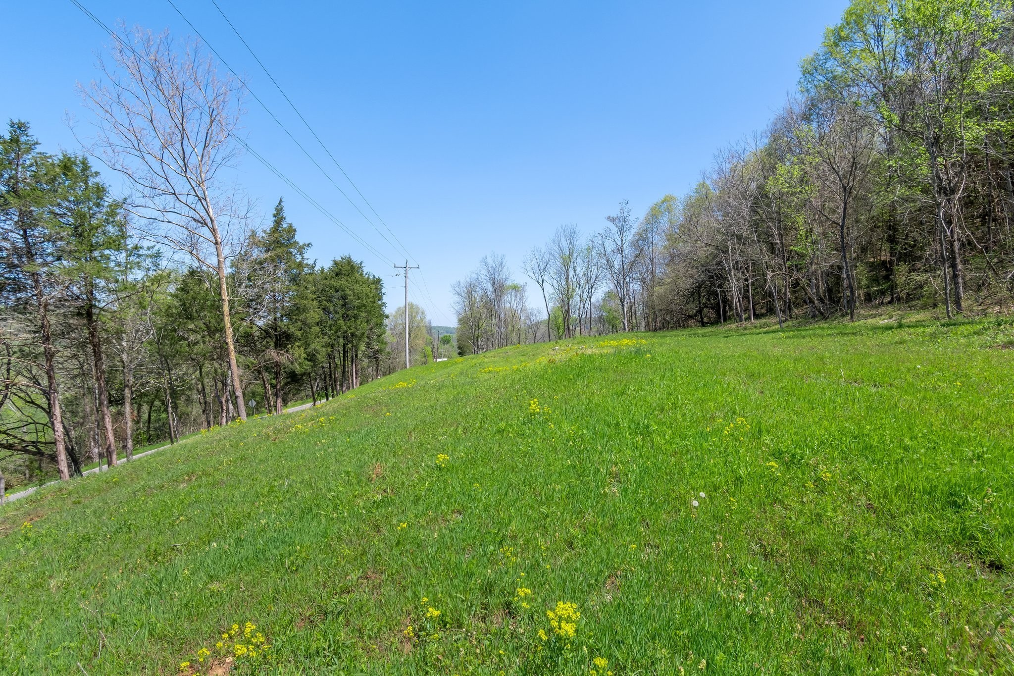 2819 Yell Road Lewisburg, TN 37091 - Photo 21 of 46 a view of a grassy field with trees in the background