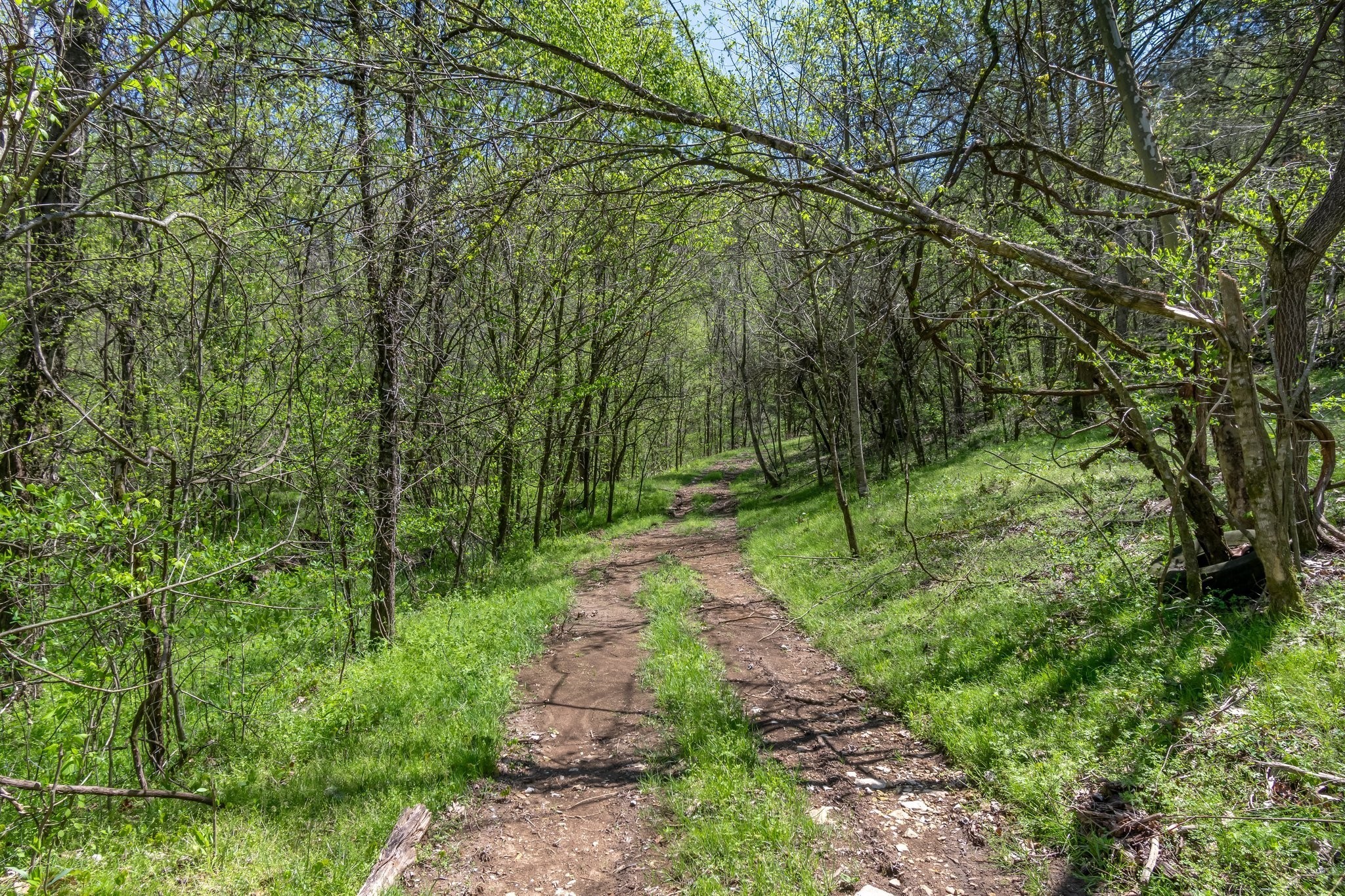 2819 Yell Road Lewisburg, TN 37091 - Photo 23 of 46 a view of park with trees