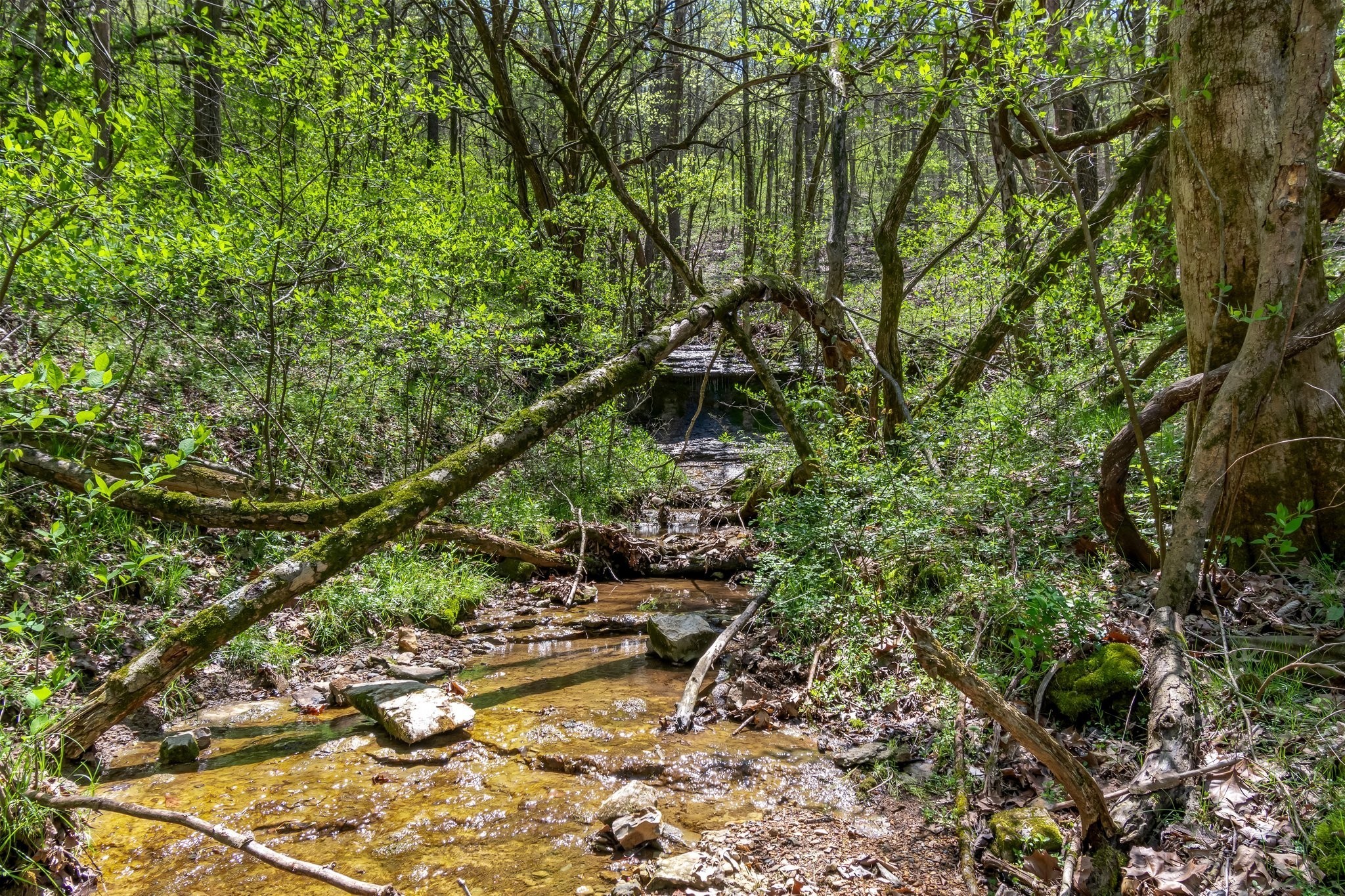 2819 Yell Road Lewisburg, TN 37091 - Photo 26 of 46