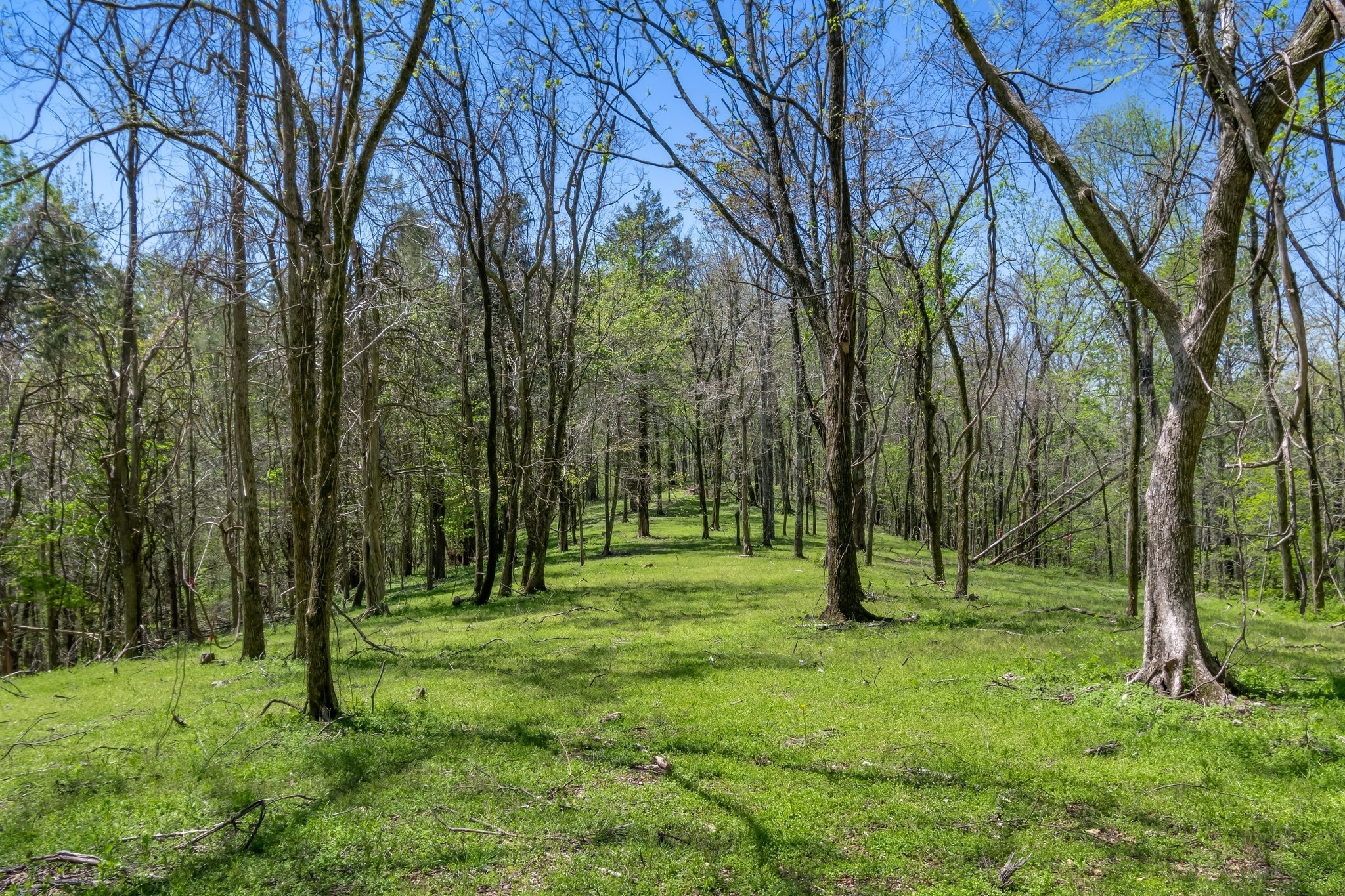 2819 Yell Road Lewisburg, TN 37091 - Photo 37 of 46 a view of park