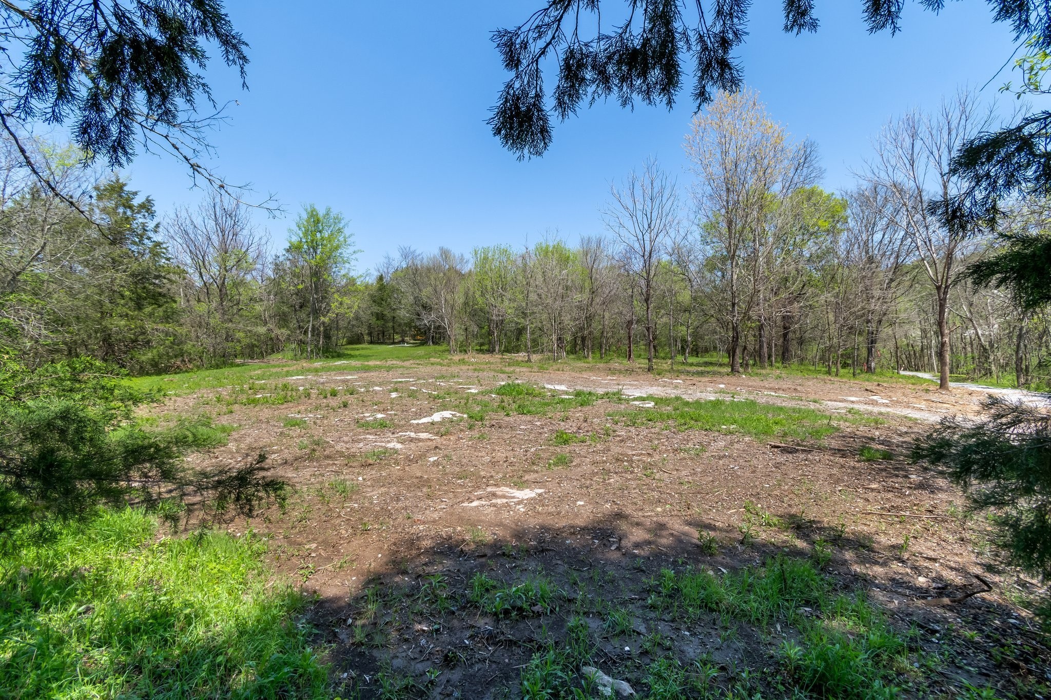 2819 Yell Road Lewisburg, TN 37091 - Photo 46 of 46 a view of a field with trees