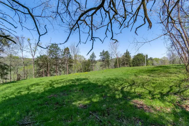 a view of a lush green space