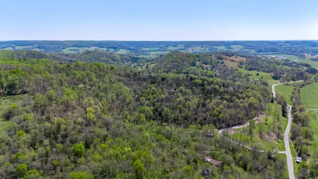 a view of a lush green forest with trees and the houses