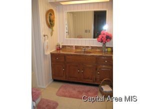 6520 Old Rte 36 Riverton, IL 62561 - Photo 9 of 15 Gallery Image 9