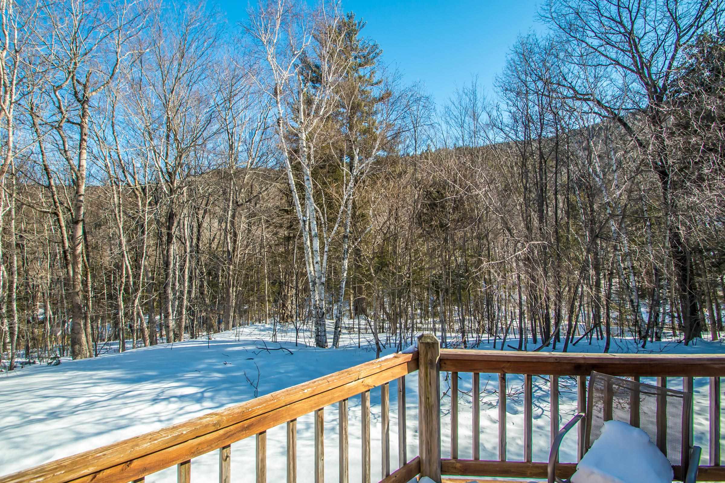 33 Top Notch Road Bartlett, NH 03812 - Photo 13 of 37 Gallery Image 13
