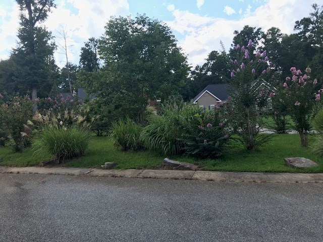 204 Ridge Point Way Macon, GA 31220 - Photo 21 of 22 a aerial view of a house with a yard and tree s
